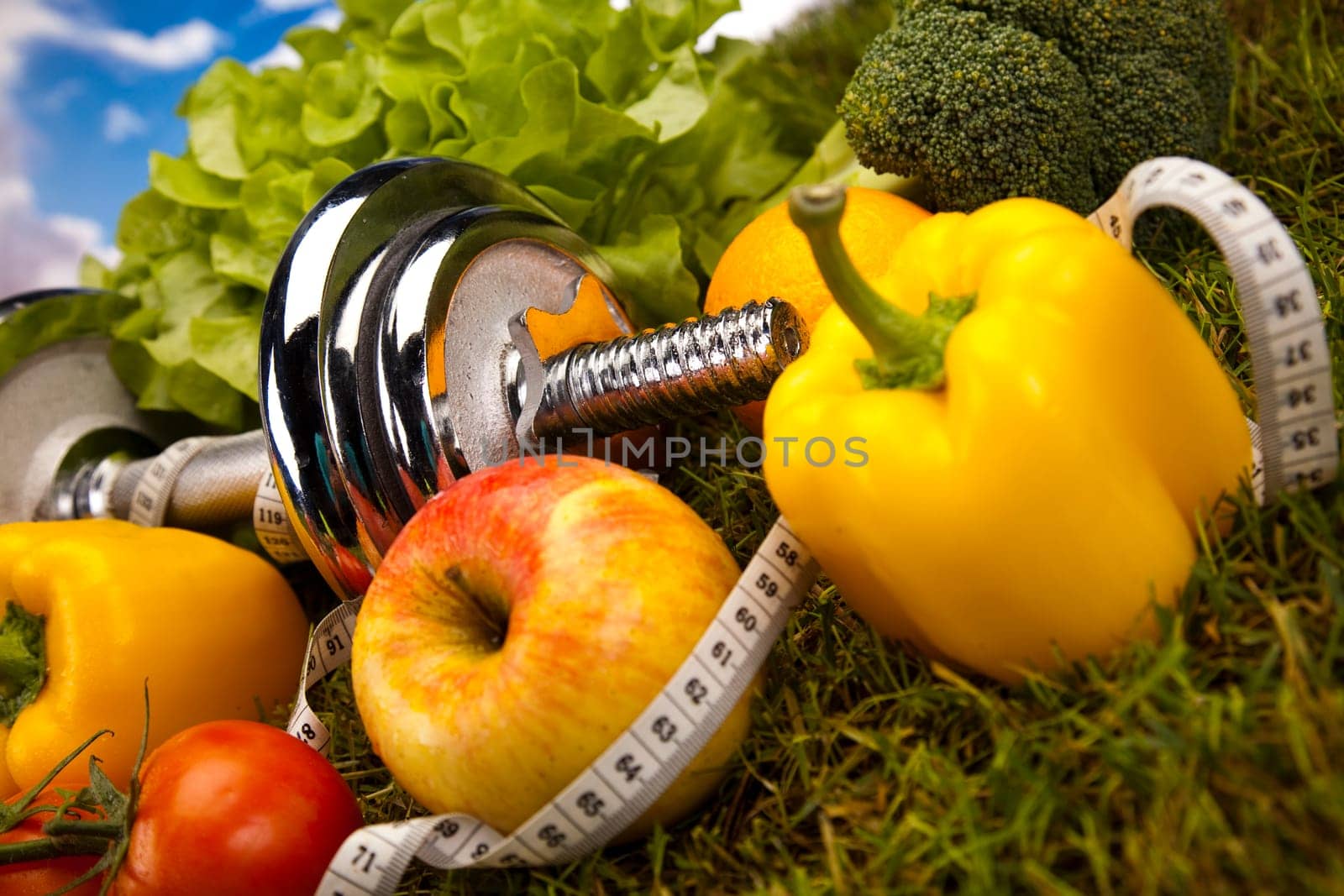 Fitness