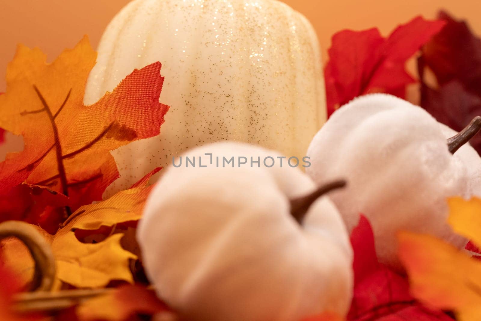 HDR photo of white Pumpkins on leafs. High quality photo