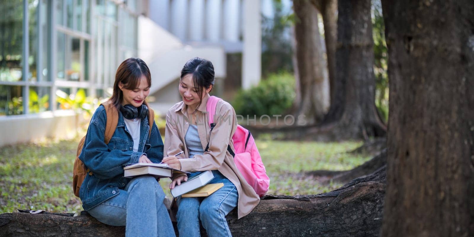 Student university friendship concept with classmate sitting together at campus college park. Youth teenage and education.