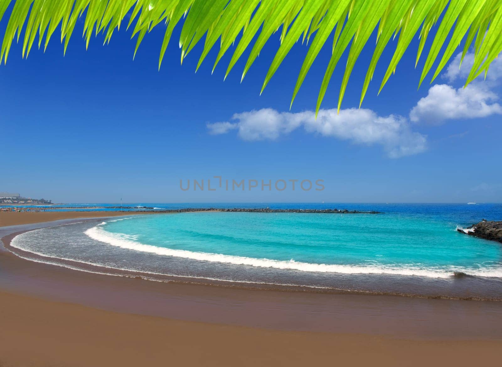 Adeje coast Las americas Beach in south Tenerife at Canary Islands