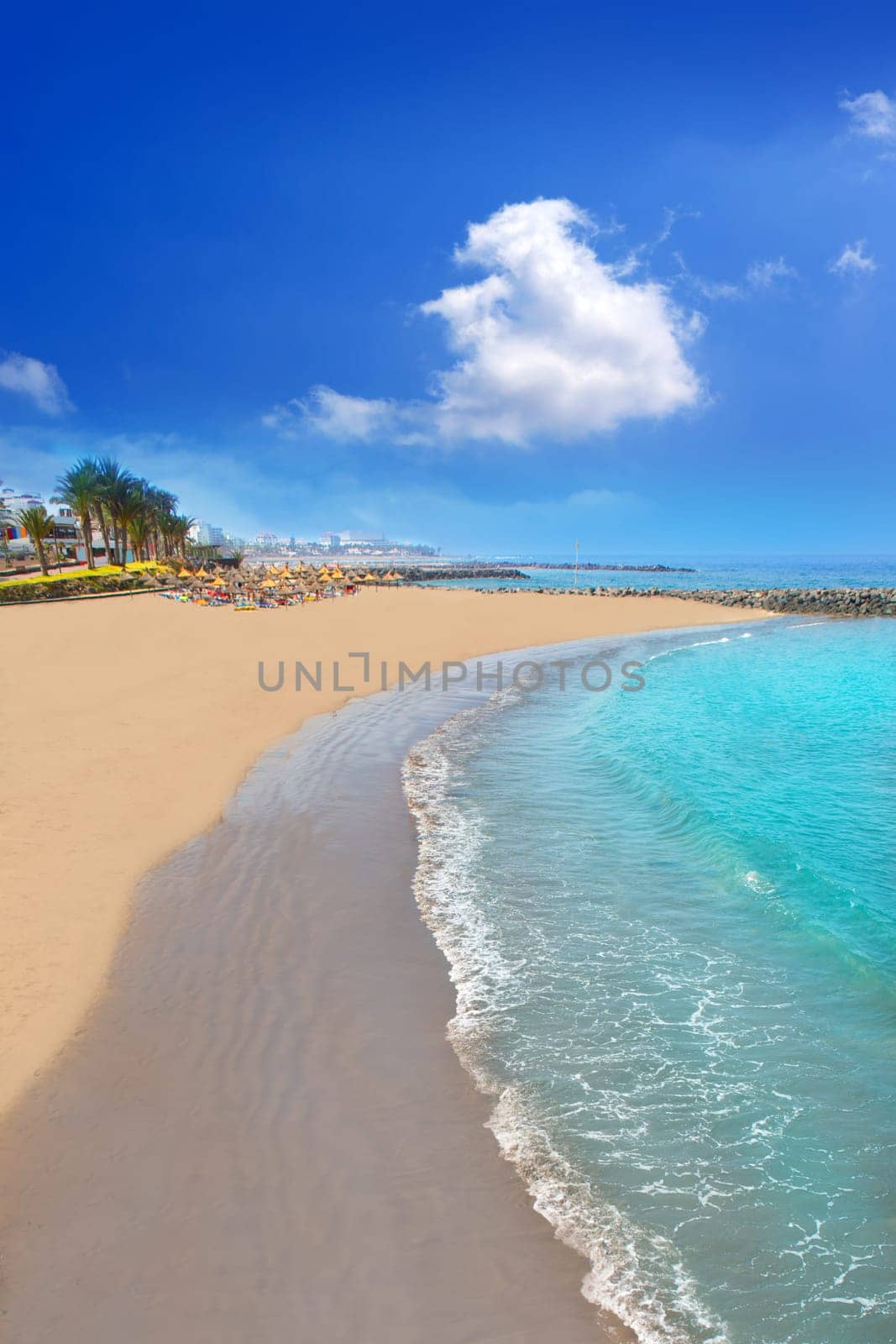Adeje coast Las americas Beach in south Tenerife at Canary Islands