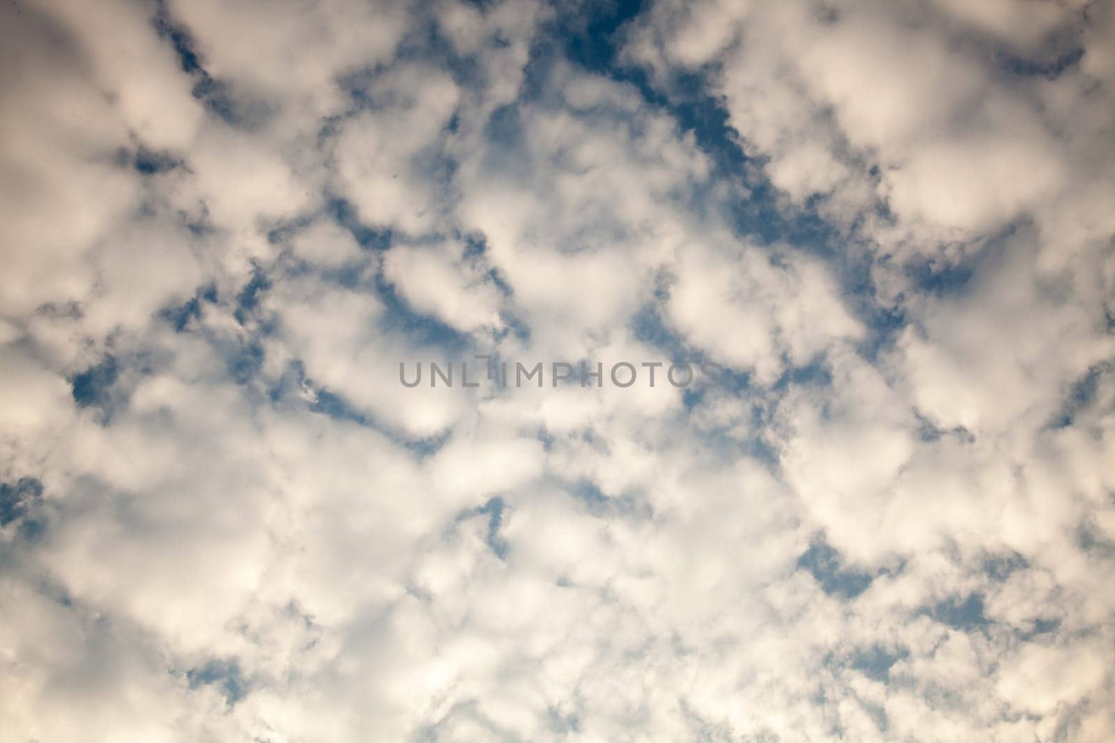 air, backdrop, background, beautiful, beauty, blue, bright, brightly, climate, cloud, cloudscape, color, cumulus, day, descriptive, environment, fluffy, freedom, heaven, high, idyllic, light, meteorology, nature, open, outdoors, ozone, pattern, perfectio