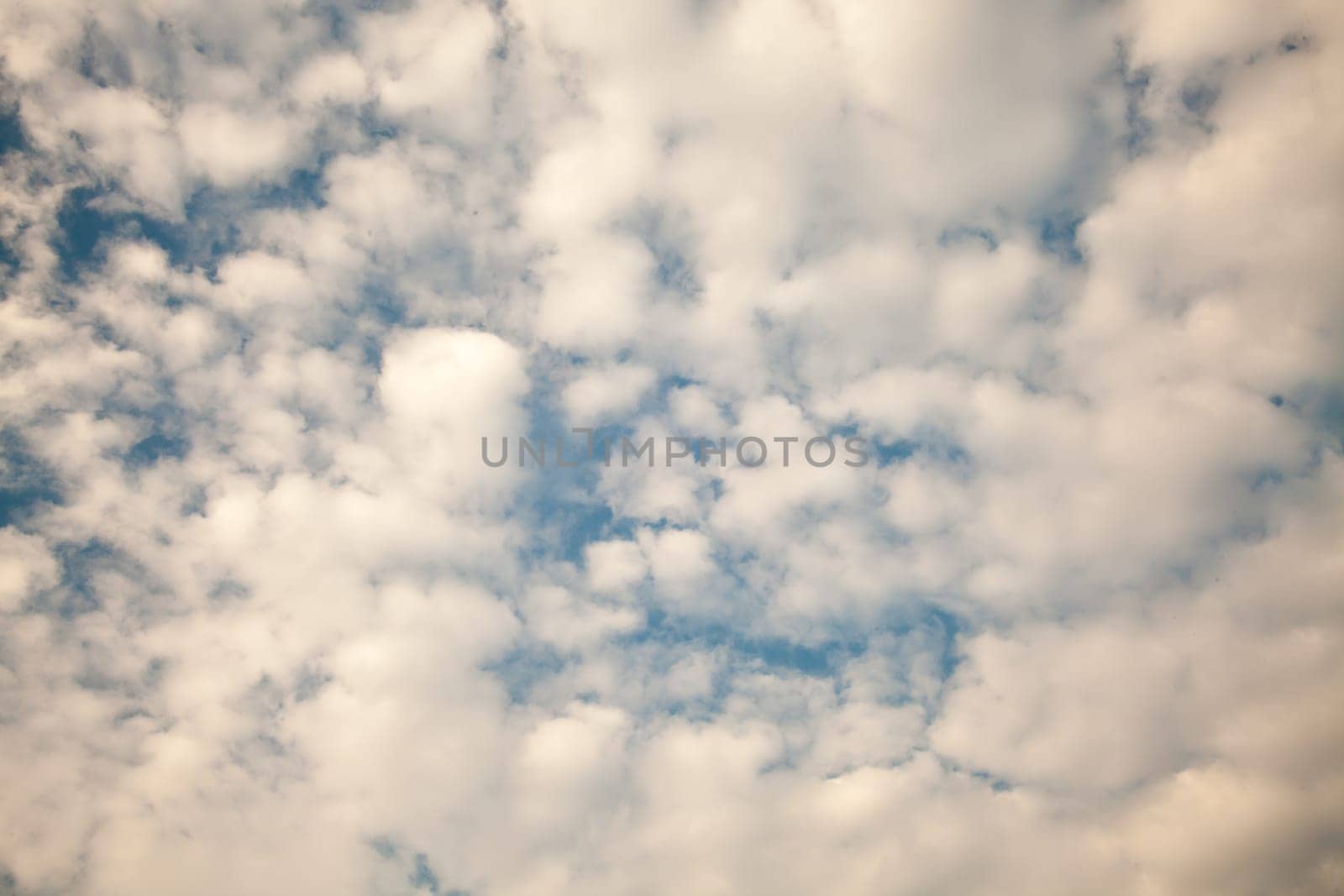 air, backdrop, background, beautiful, beauty, blue, bright, brightly, climate, cloud, cloudscape, color, cumulus, day, descriptive, environment, fluffy, freedom, heaven, high, idyllic, light, meteorology, nature, open, outdoors, ozone, pattern, perfectio