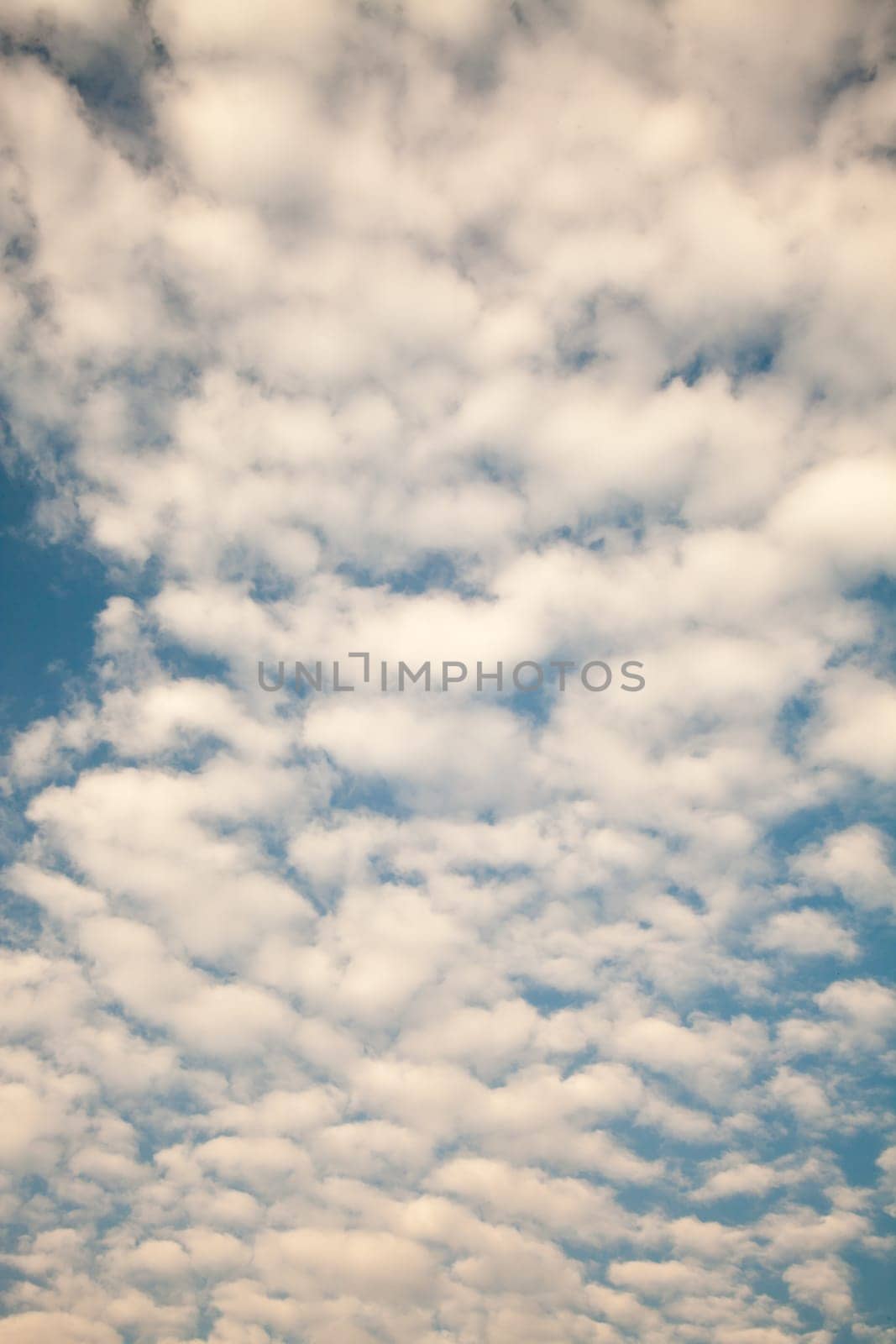 air, backdrop, background, beautiful, beauty, blue, bright, brightly, climate, cloud, cloudscape, color, cumulus, day, descriptive, environment, fluffy, freedom, heaven, high, idyllic, light, meteorology, nature, open, outdoors, ozone, pattern, perfectio