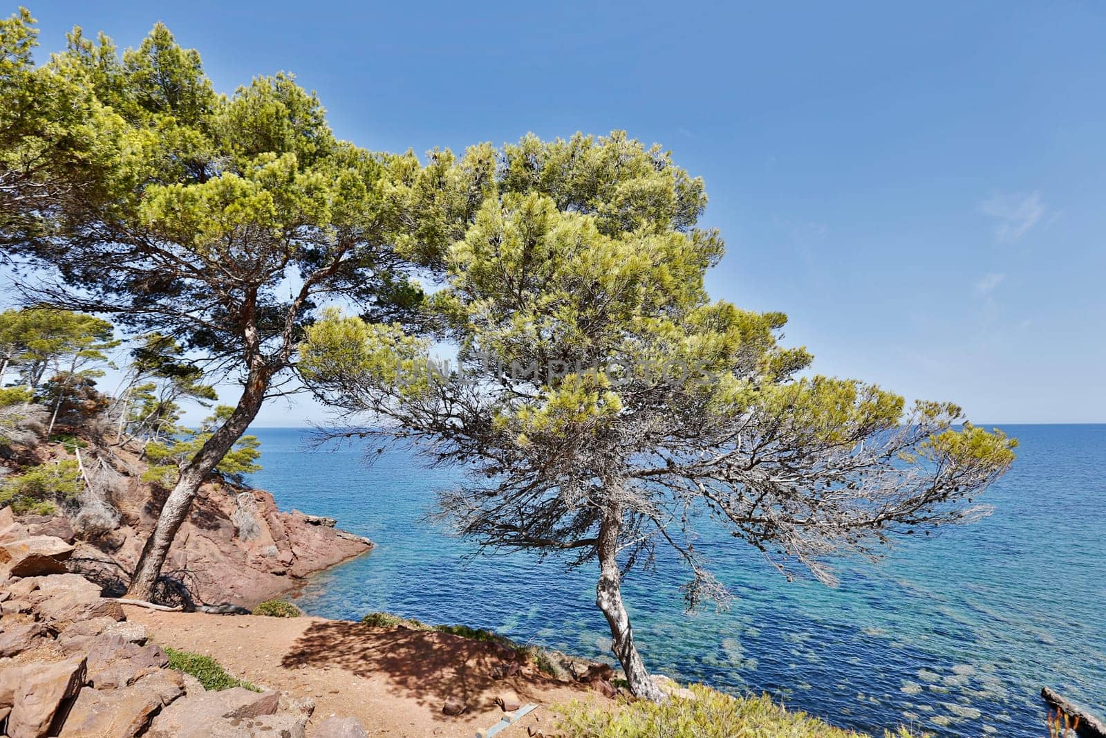Sea