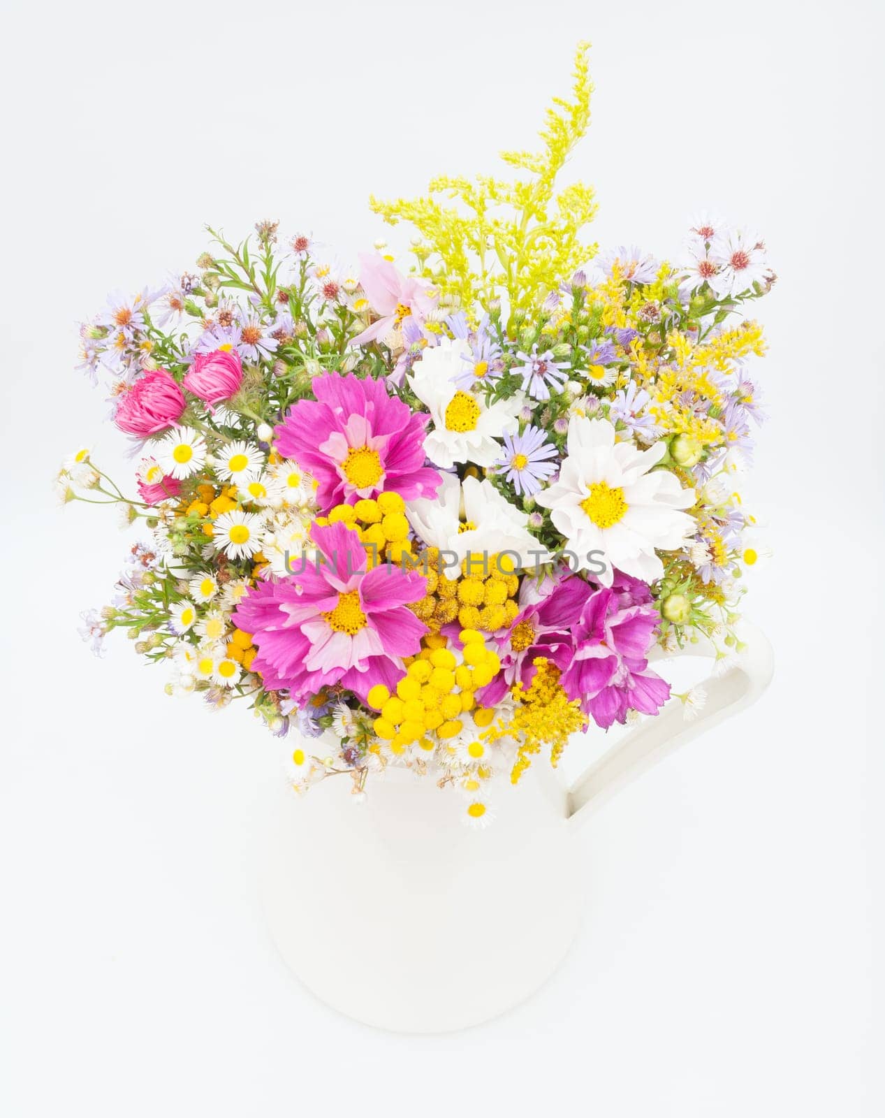 Bouquet of Wild Summer Flowers in White Pitcher on White Background