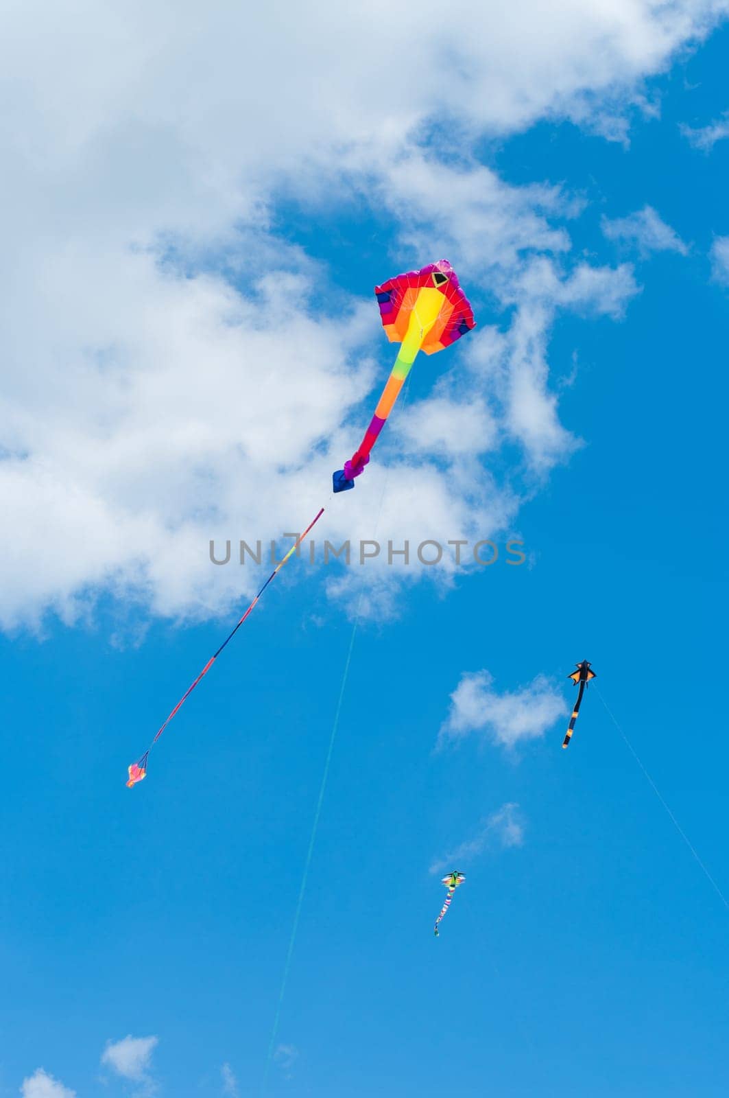 colorful kite during the 3rd international kite festival in Twenterand, Netherlands