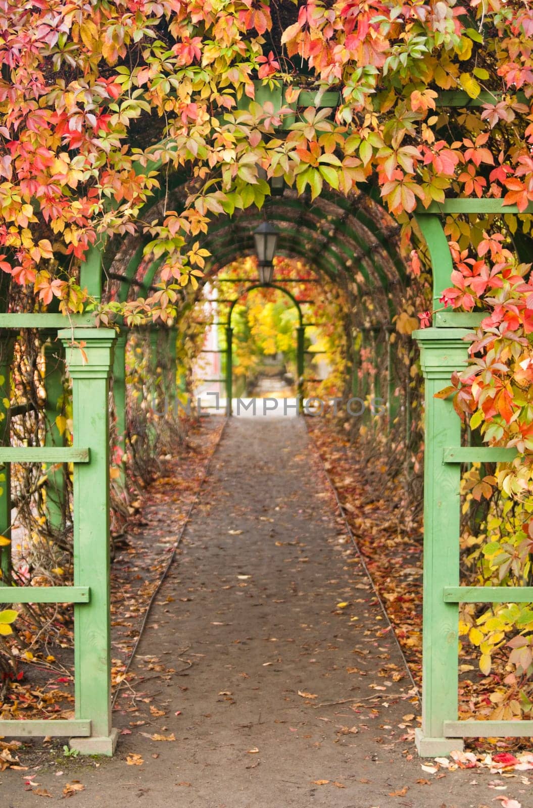 pergola in autumn park