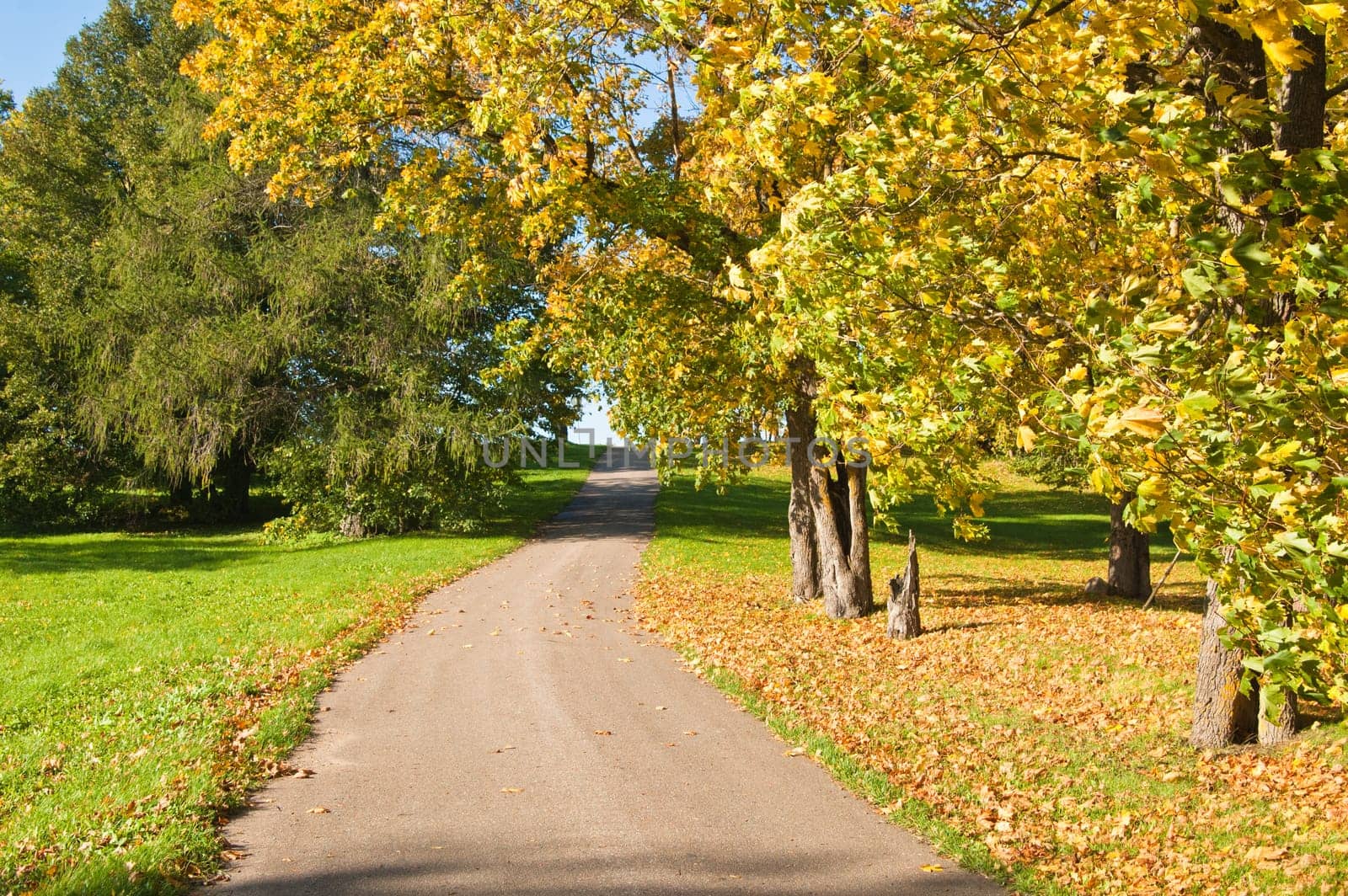 Autumn landscape