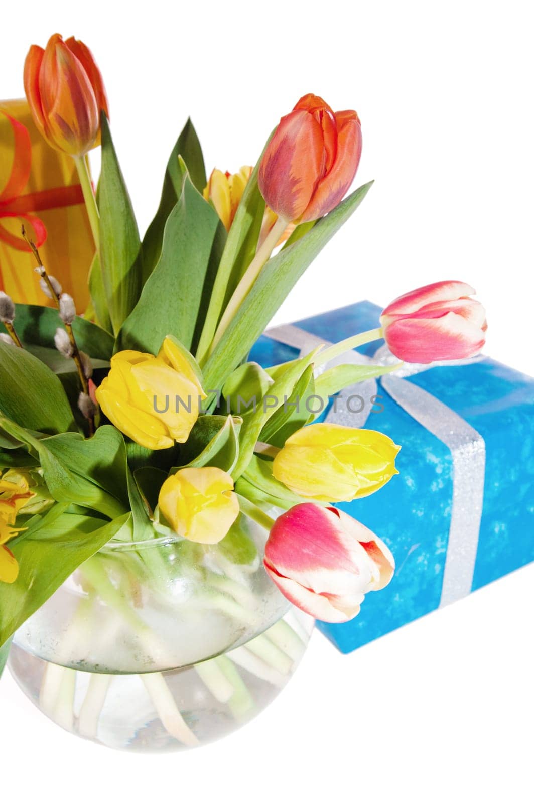 Tulips and boxes with gifts, it is isolated on white