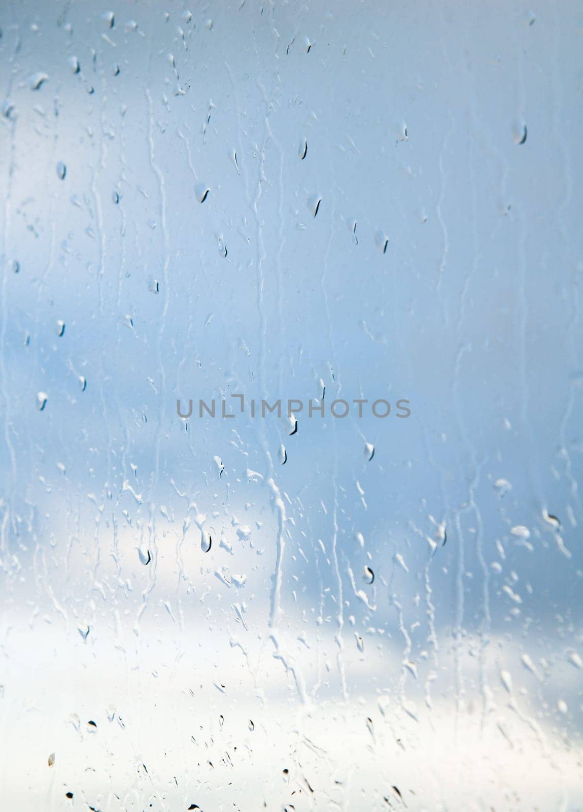 Drops of a rain on glass