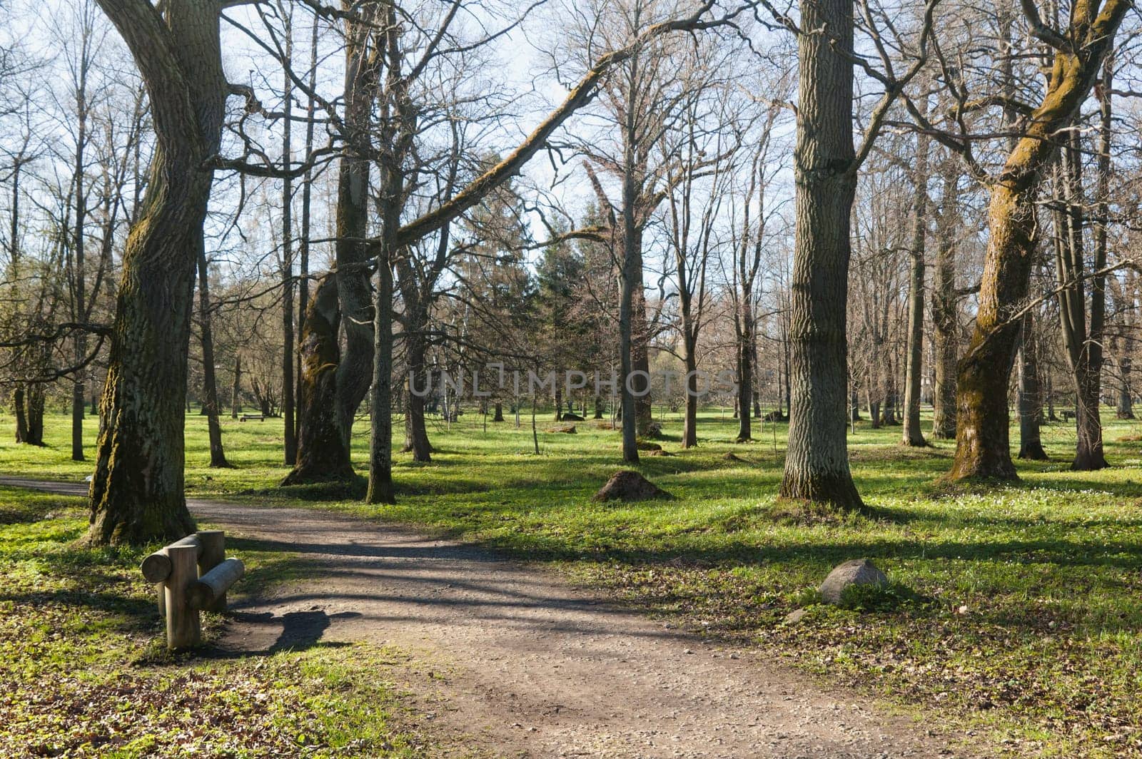 Avenue in park Kadriorg, in the early spring