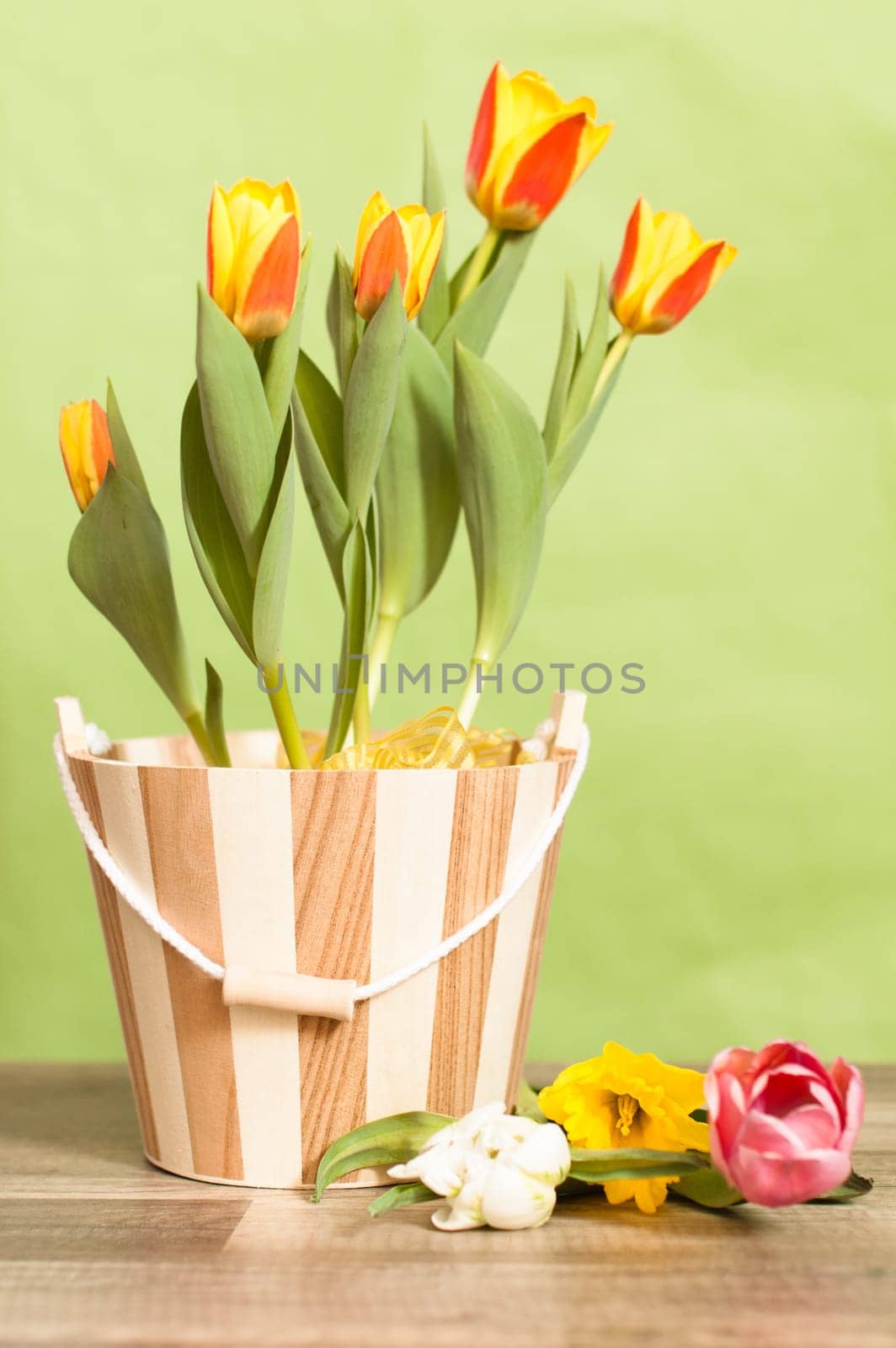 It is red yellow tulips in a bucket