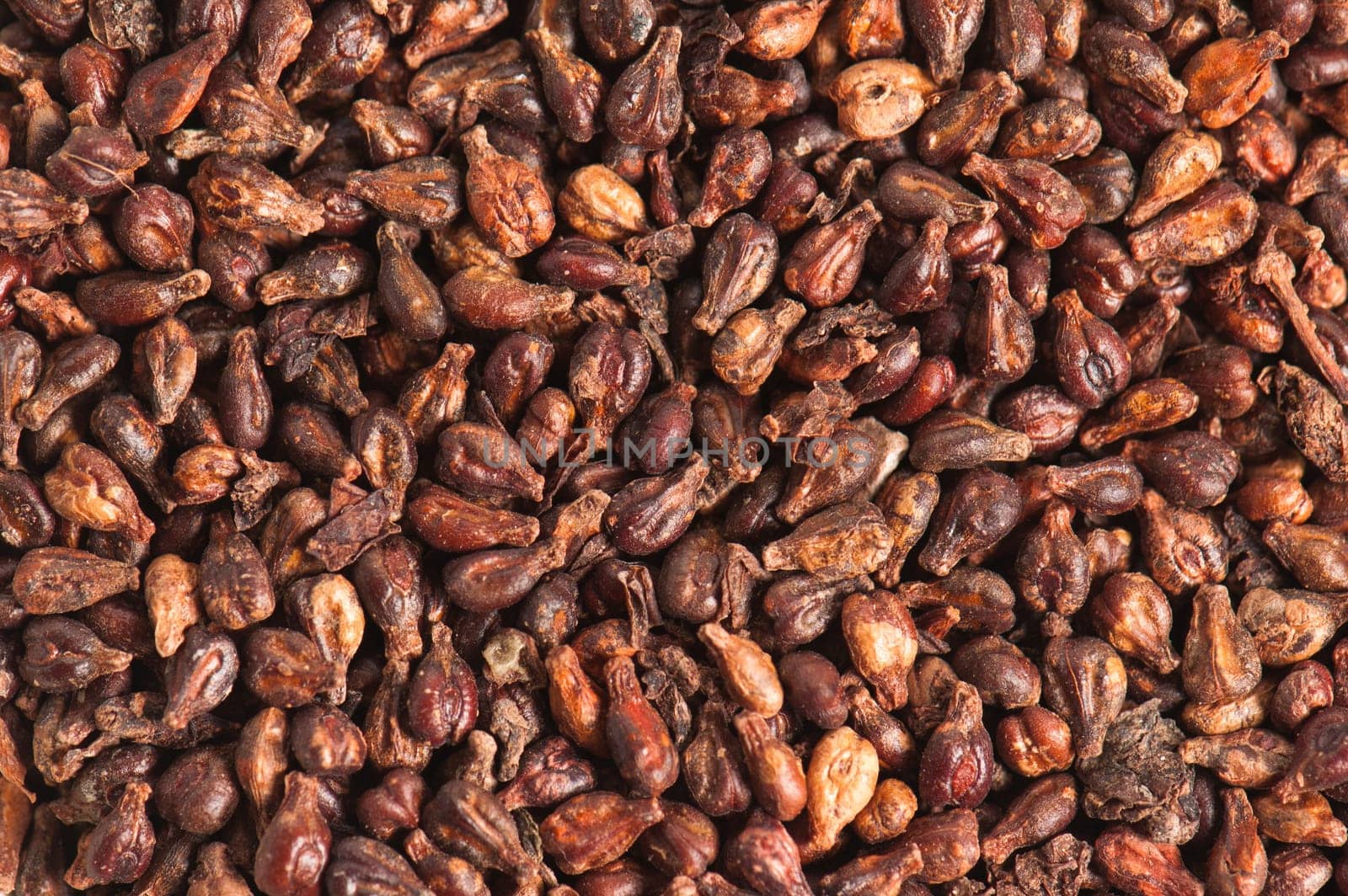 Close-up of grapes seeds