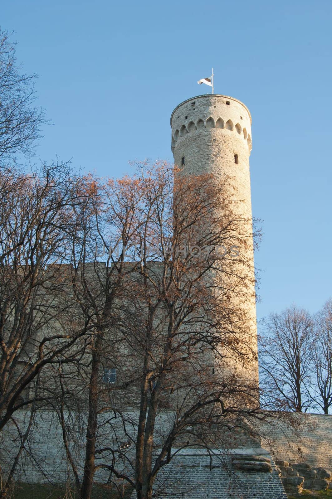 Tower Long Herman, Tallinn, Estonia