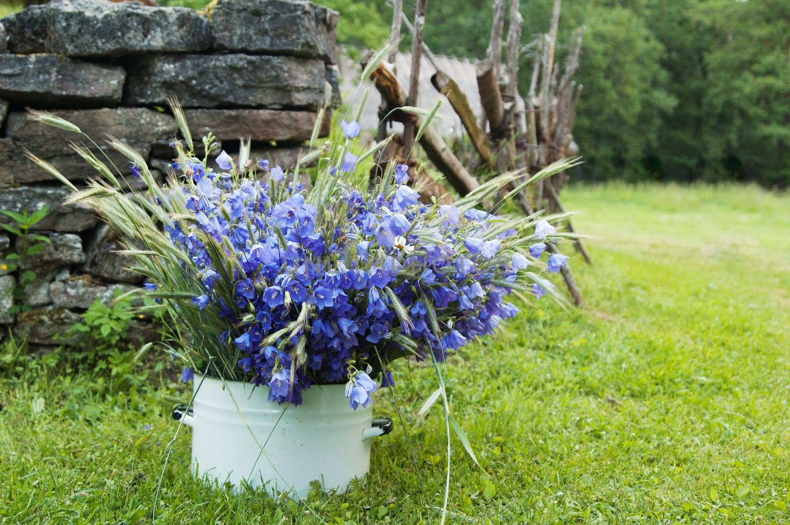bouquet of field flowers amidst the rural landscape