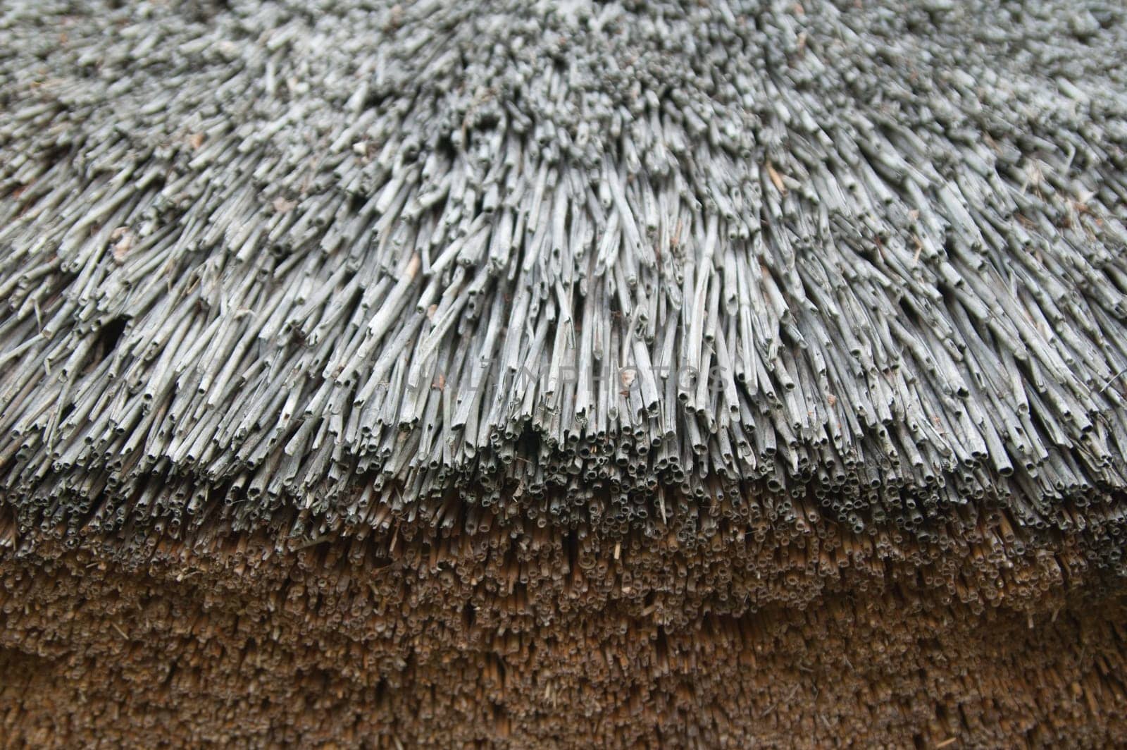 roof of reeds, close-up