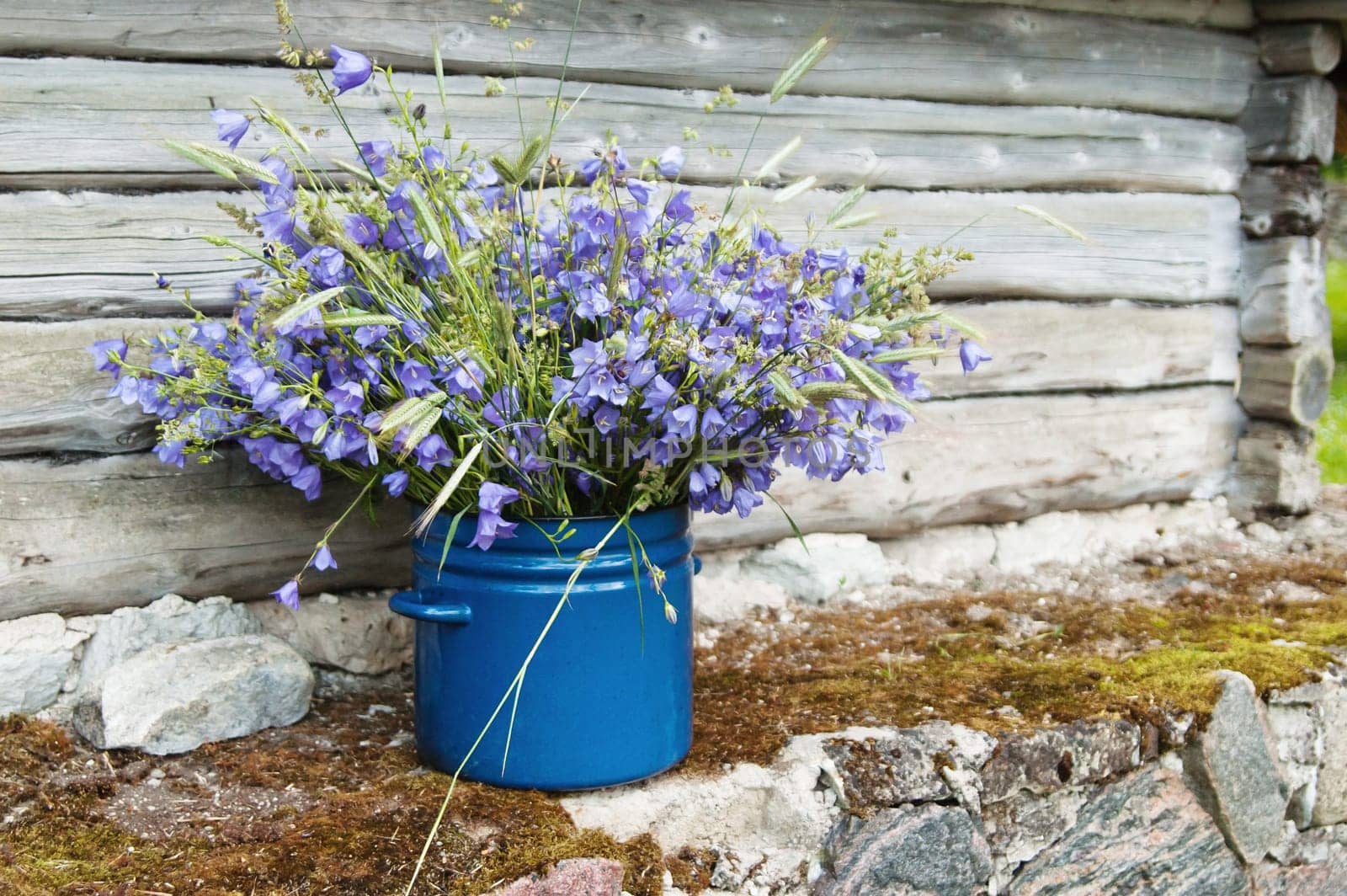 bouquet of field flowers amidst the rural landscape