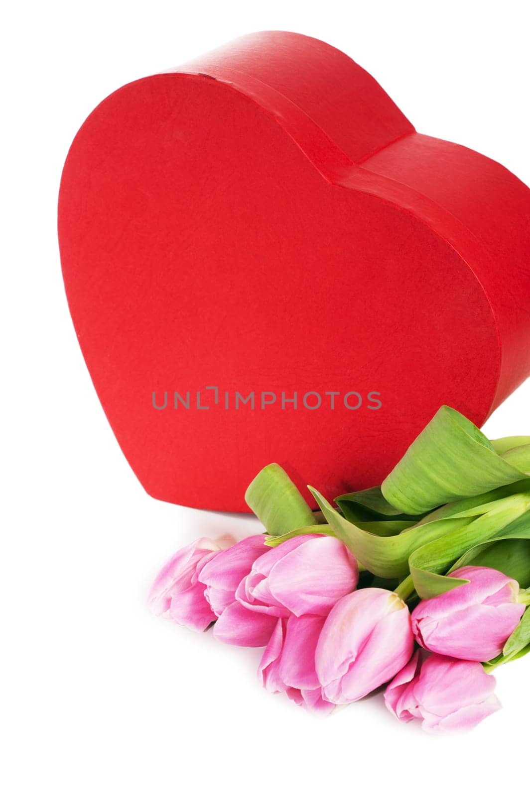 Pink tulips and gift box, it is isolated on white