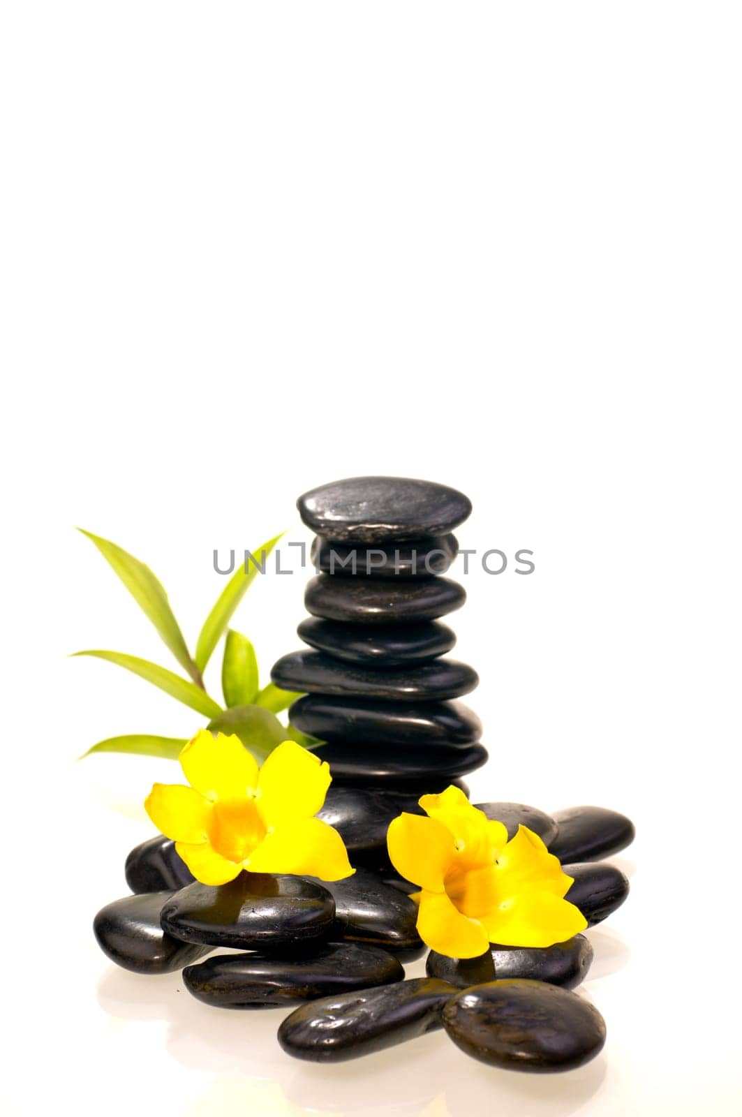 Stack of black zen stones with a bamboo plant and yellow flowers