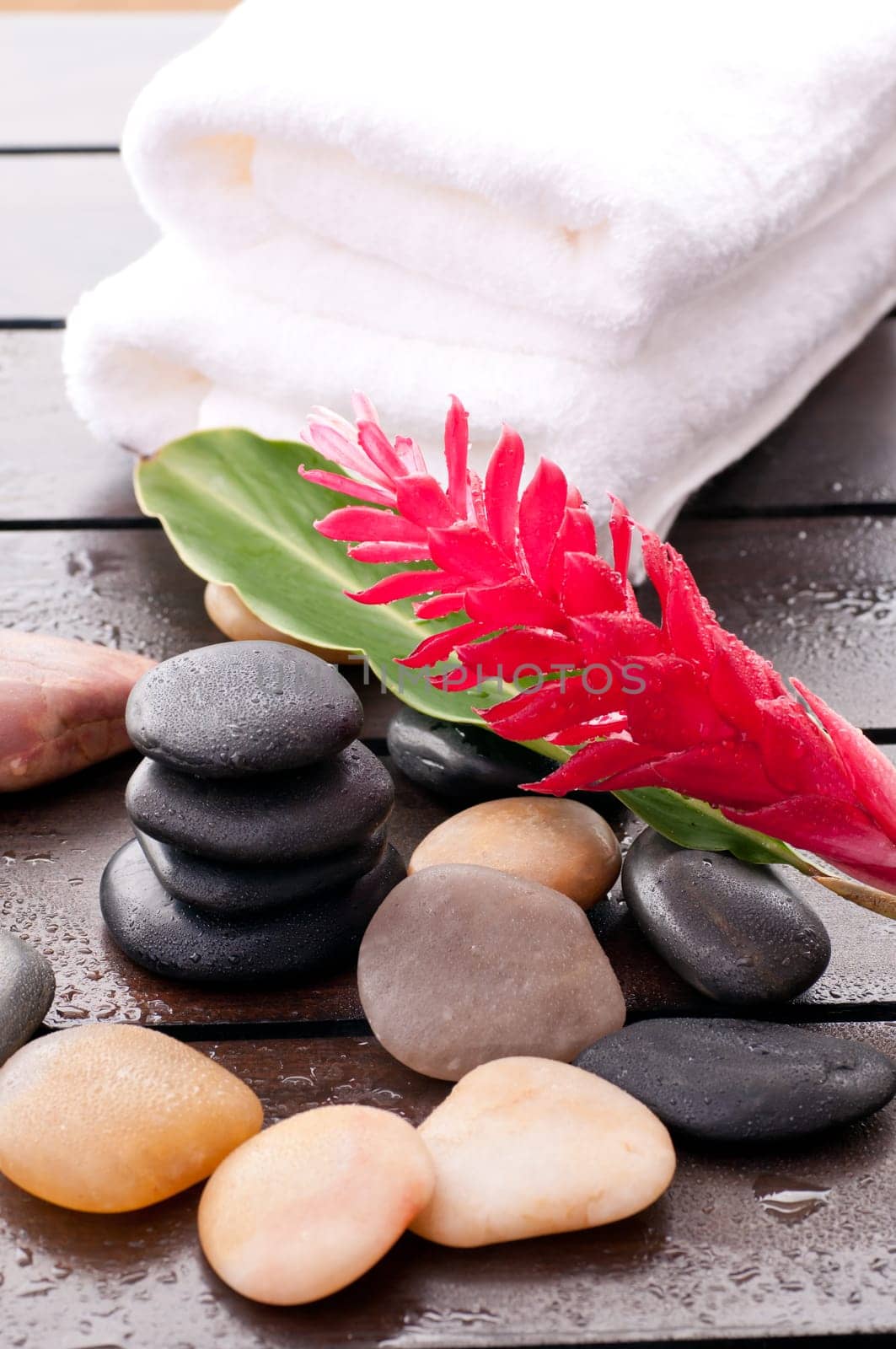 Zen wellness with red ginger flower on a wet wooden table