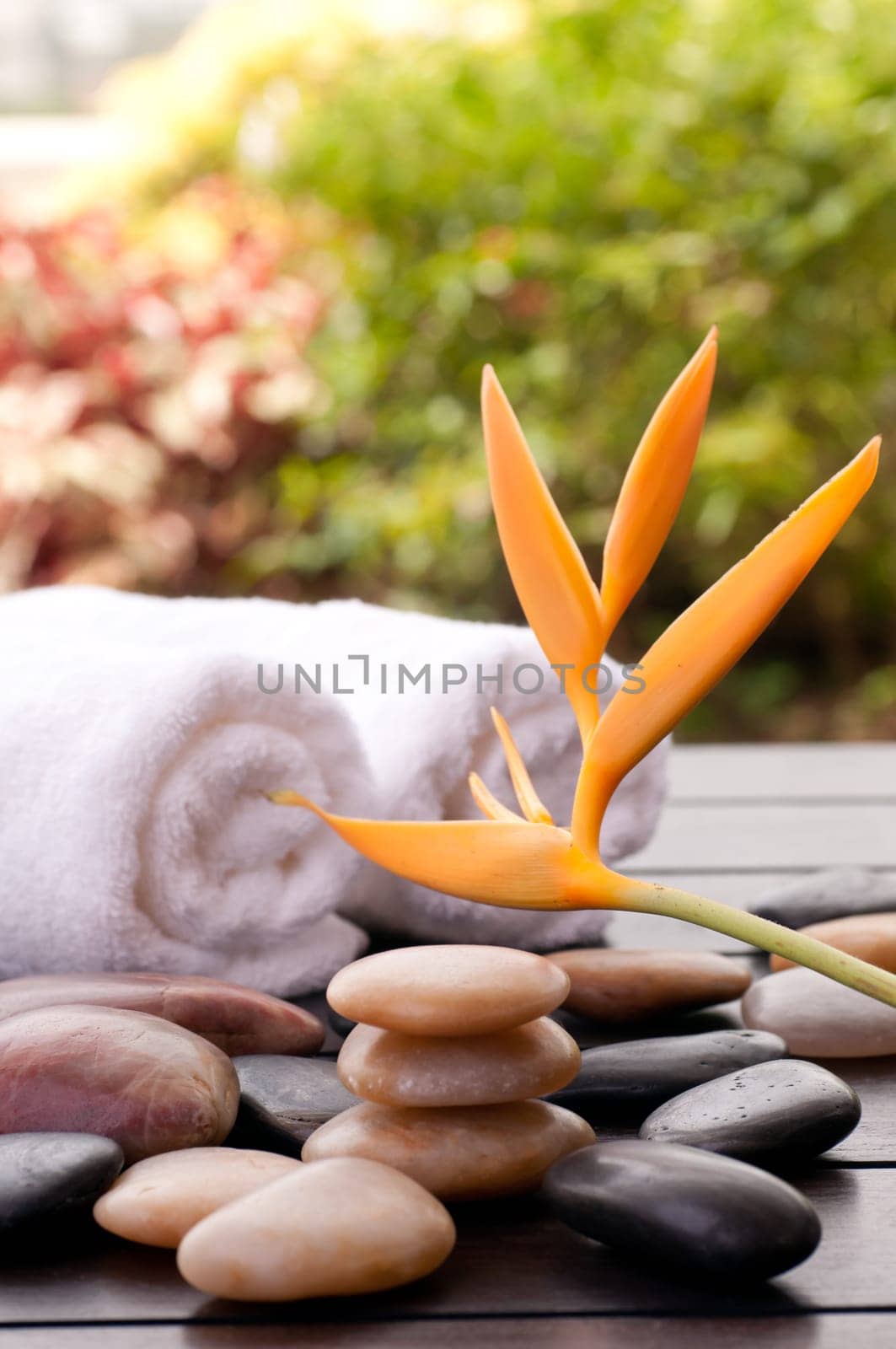Spa concept with heliconia and zen stones outdoor