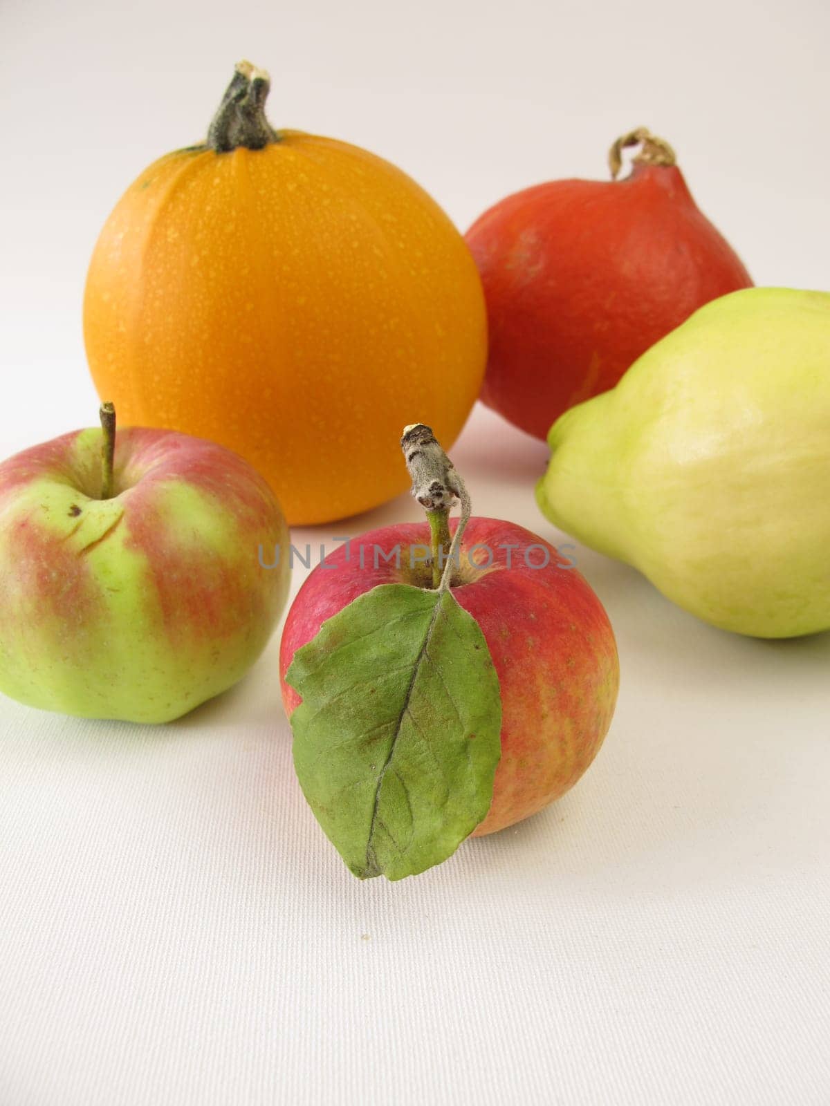 Quince,apple and pumpkin