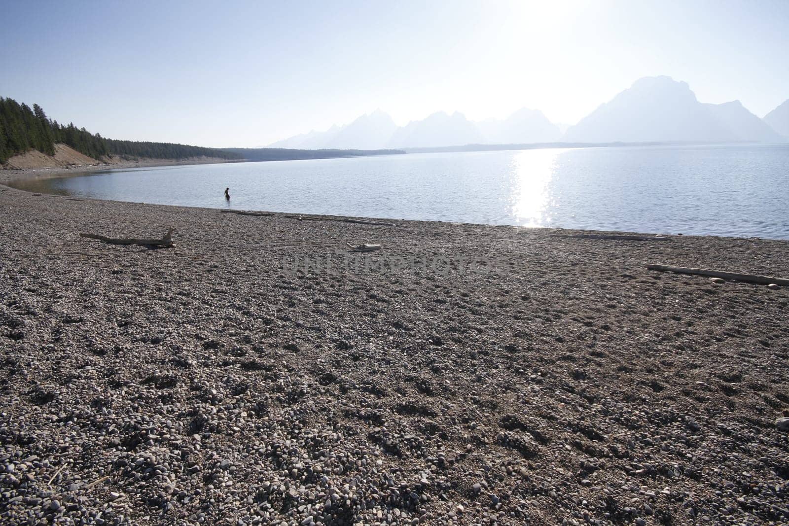 Yellowstone Grand Tetons