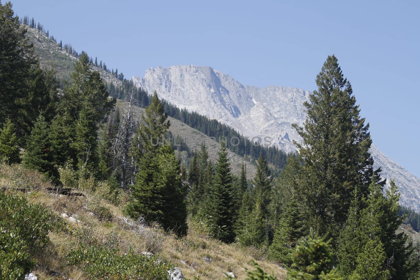 Yellowstone Grand Tetons