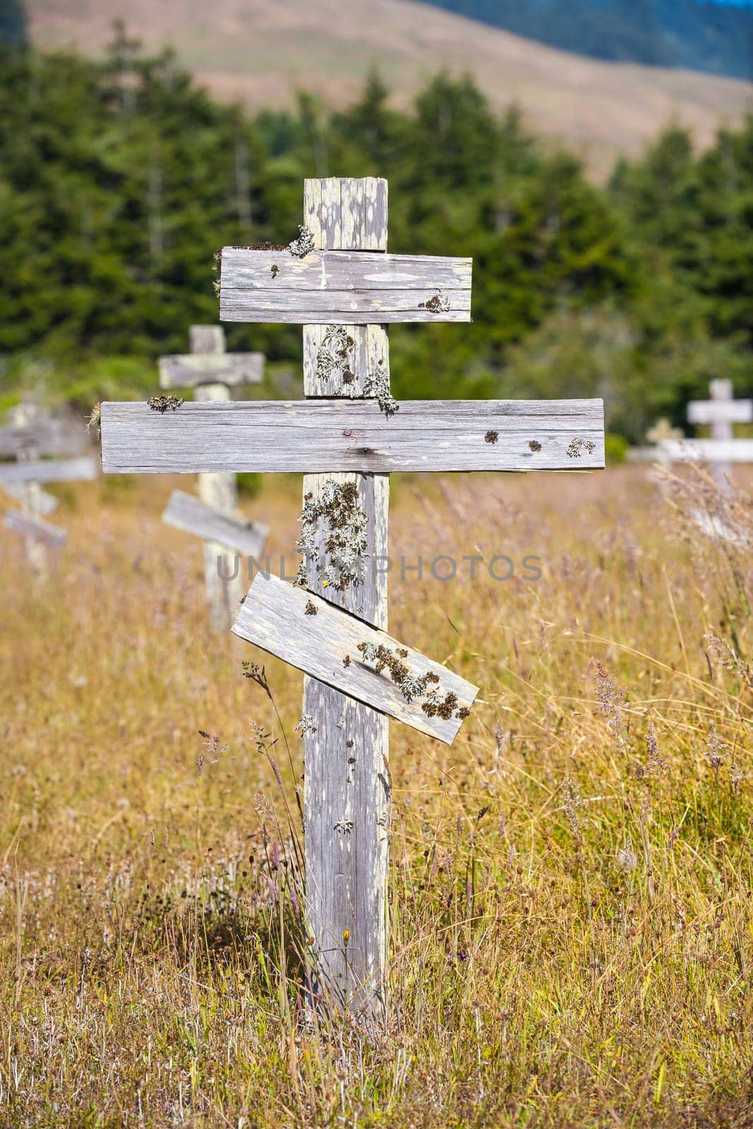 old wooden crosses at the historic orthodox cemetery of Fort Ross