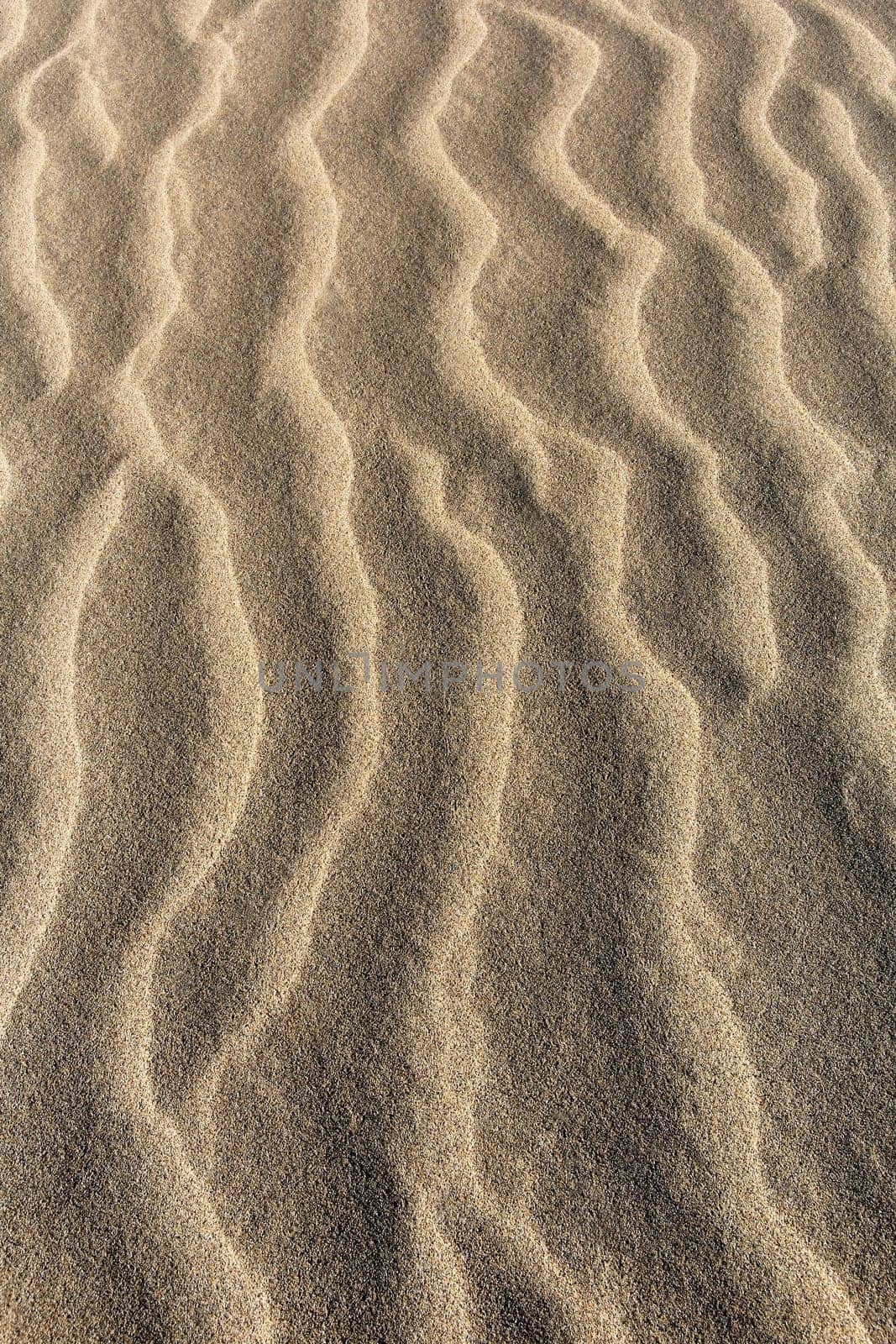 Background - Waves in the Sand - Portrait