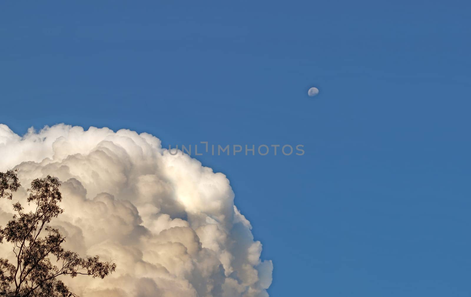 Weather Science meteorology,white fluffy towering cumulus storm cloud bank with moon in blue sky