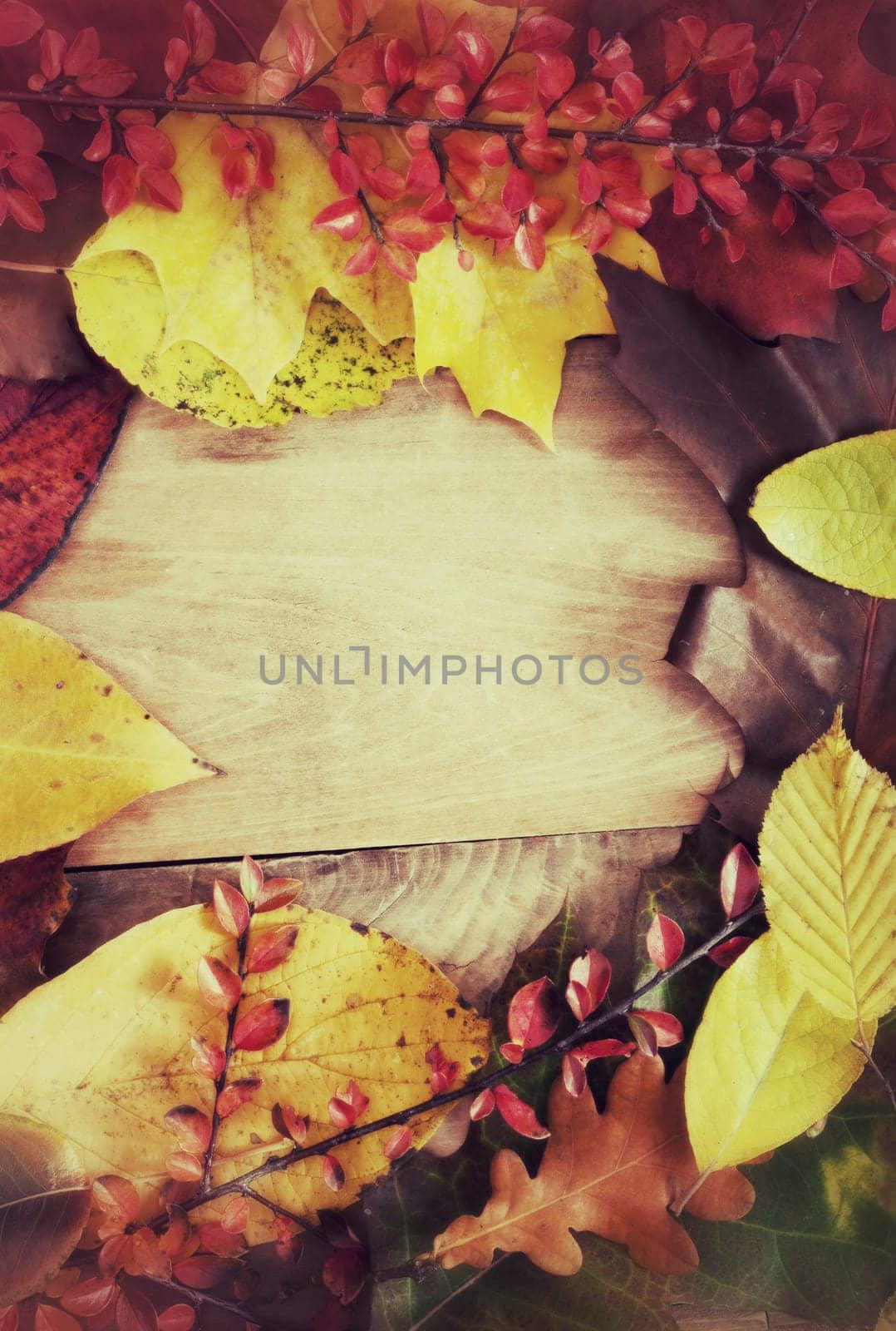 Autumn Background - Color Autumn Leafs on Wooden Background - Vintage Look