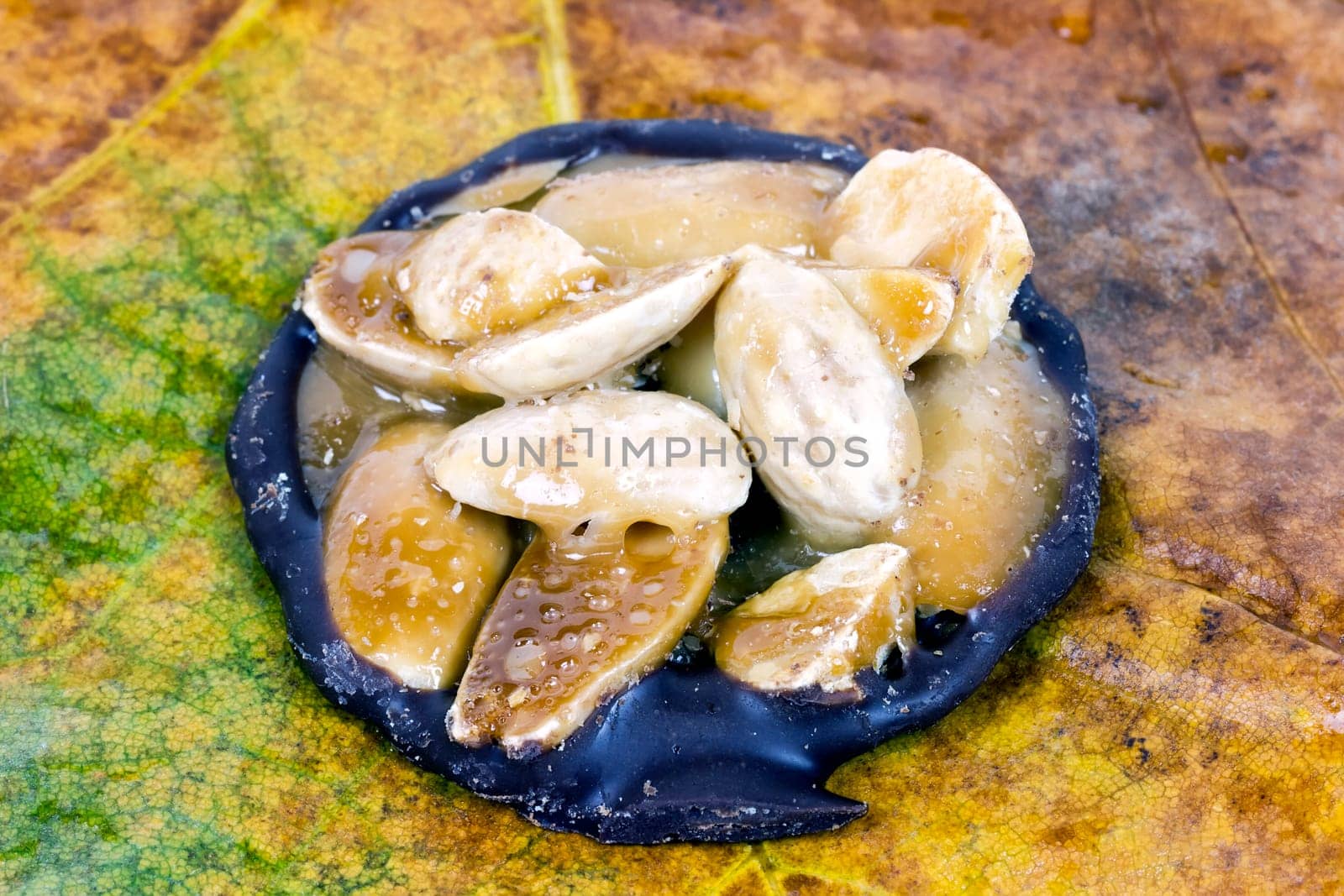 chocolate hazelnut almond, sugared mediterranean food dessert, Presented on a maple leaf