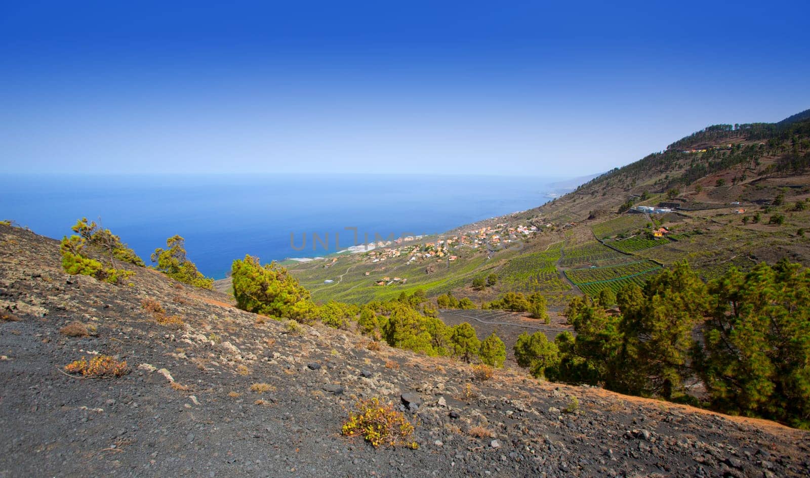 Crater in La Palma San Antonio volcano Fuencaliente at Canary islands