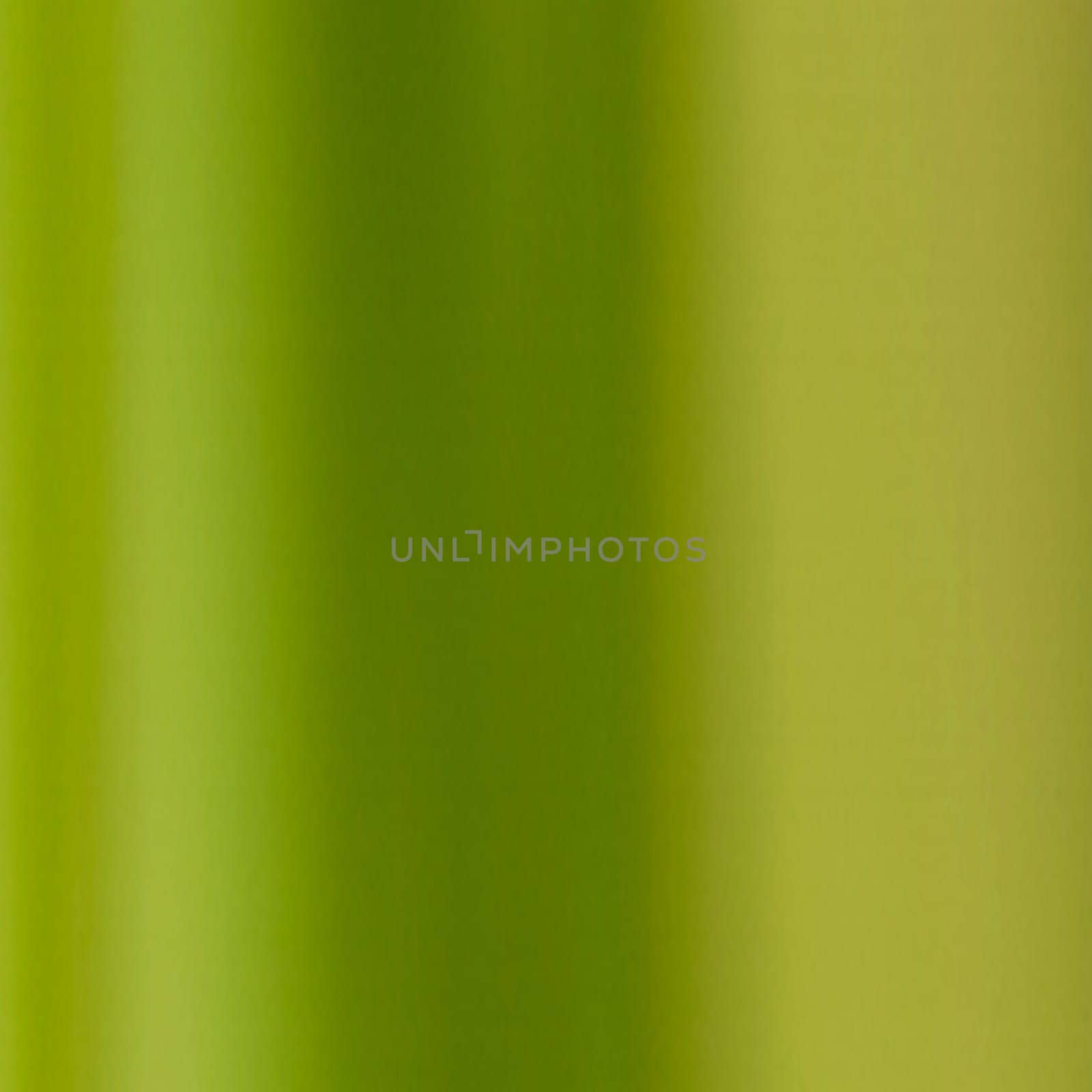 natural green background with selective focus