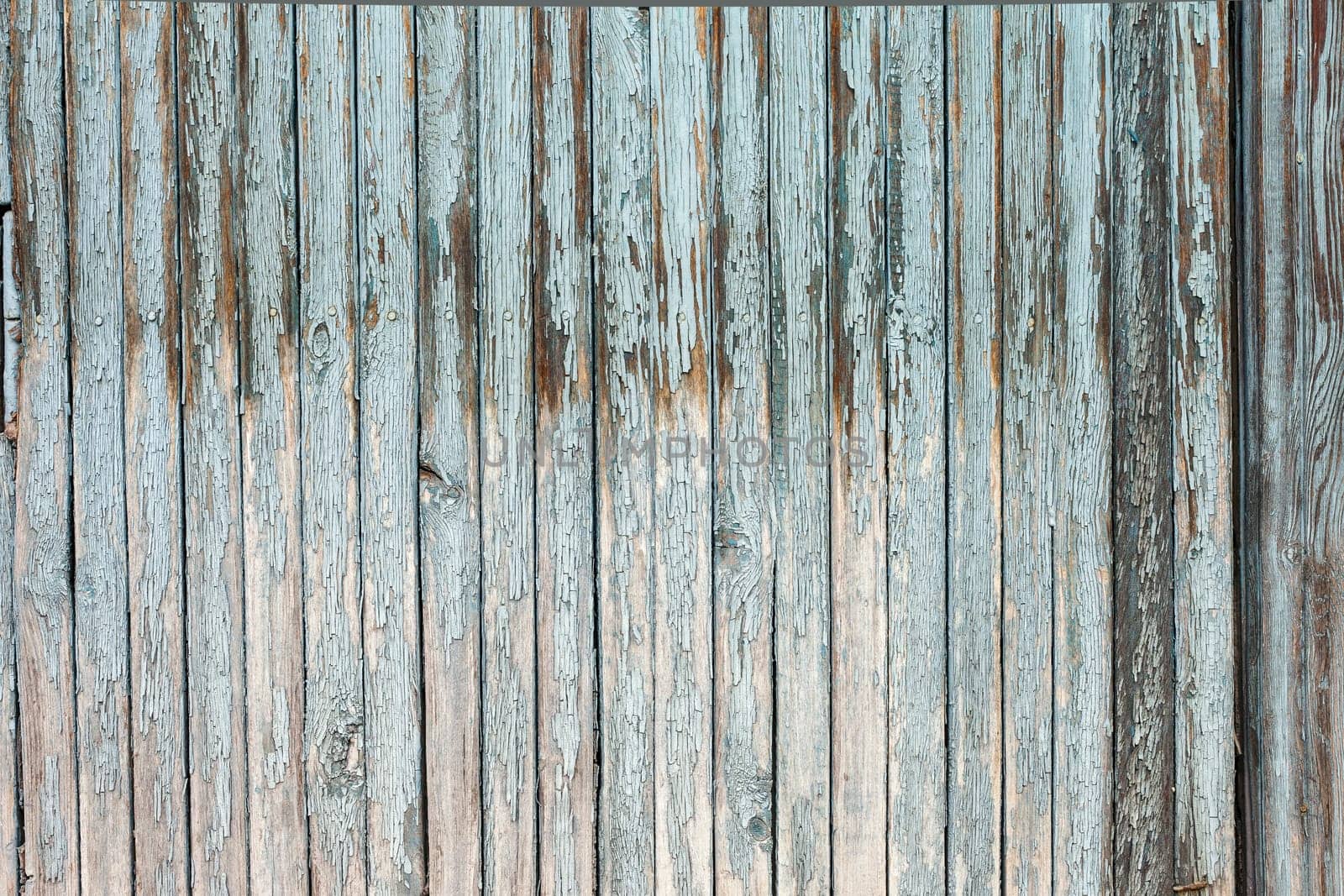 Vintage or grungy white background of natural wood or wooden old texture as a retro pattern wall.