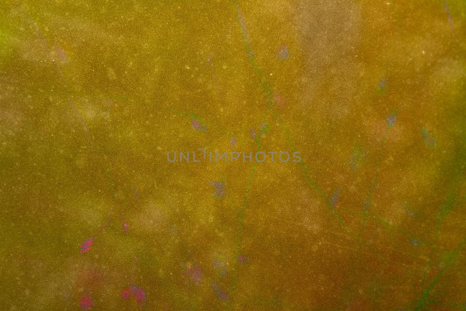 leaf background texture, mixed for adv or others purpose use