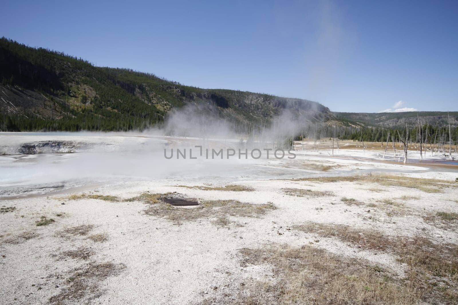 Yellowstone Grand Tetons Geyser