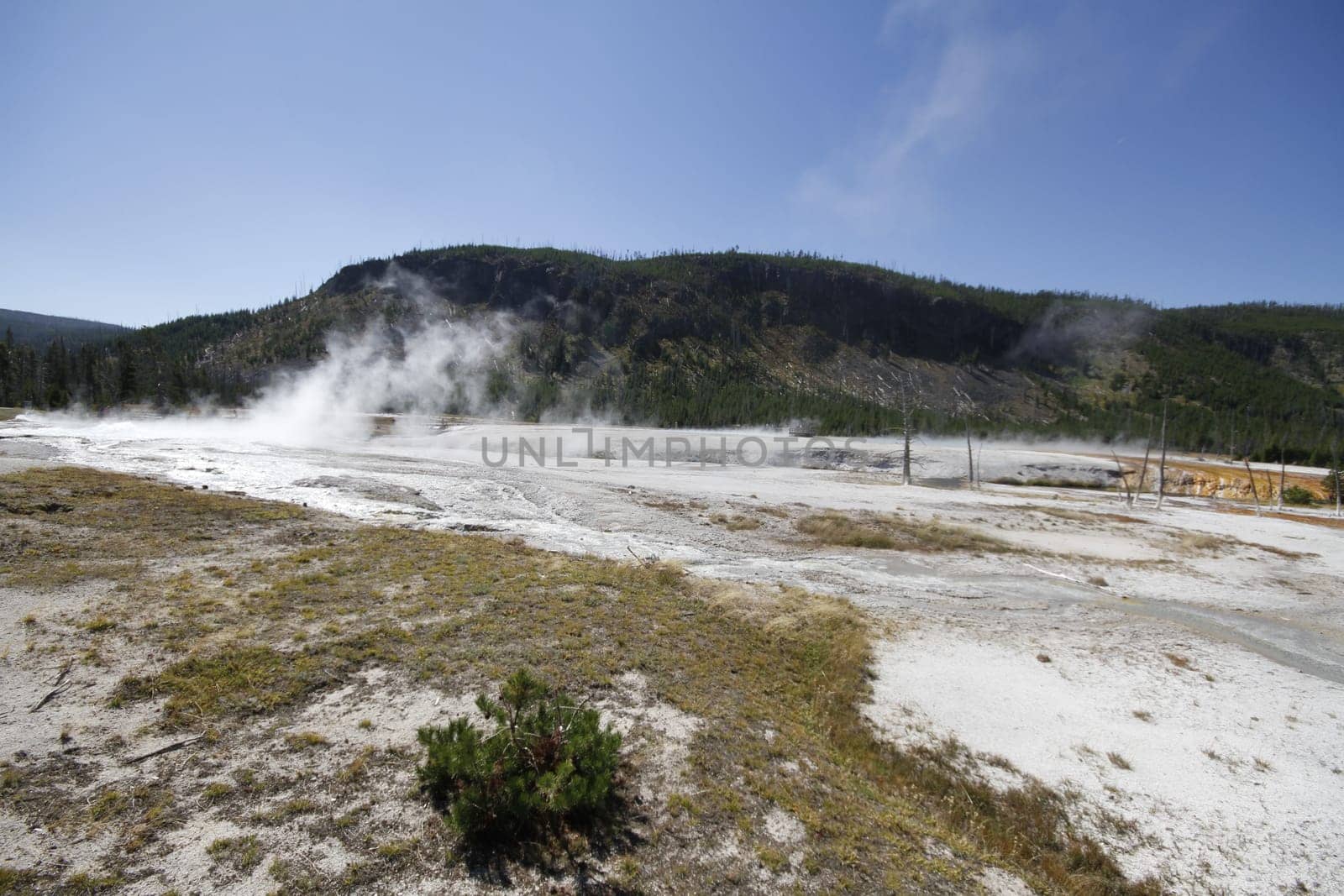 Yellowstone Grand Tetons Geyser