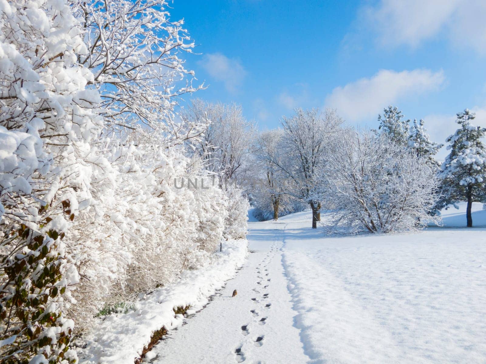 Footprints line a walkway covered in fresh snow