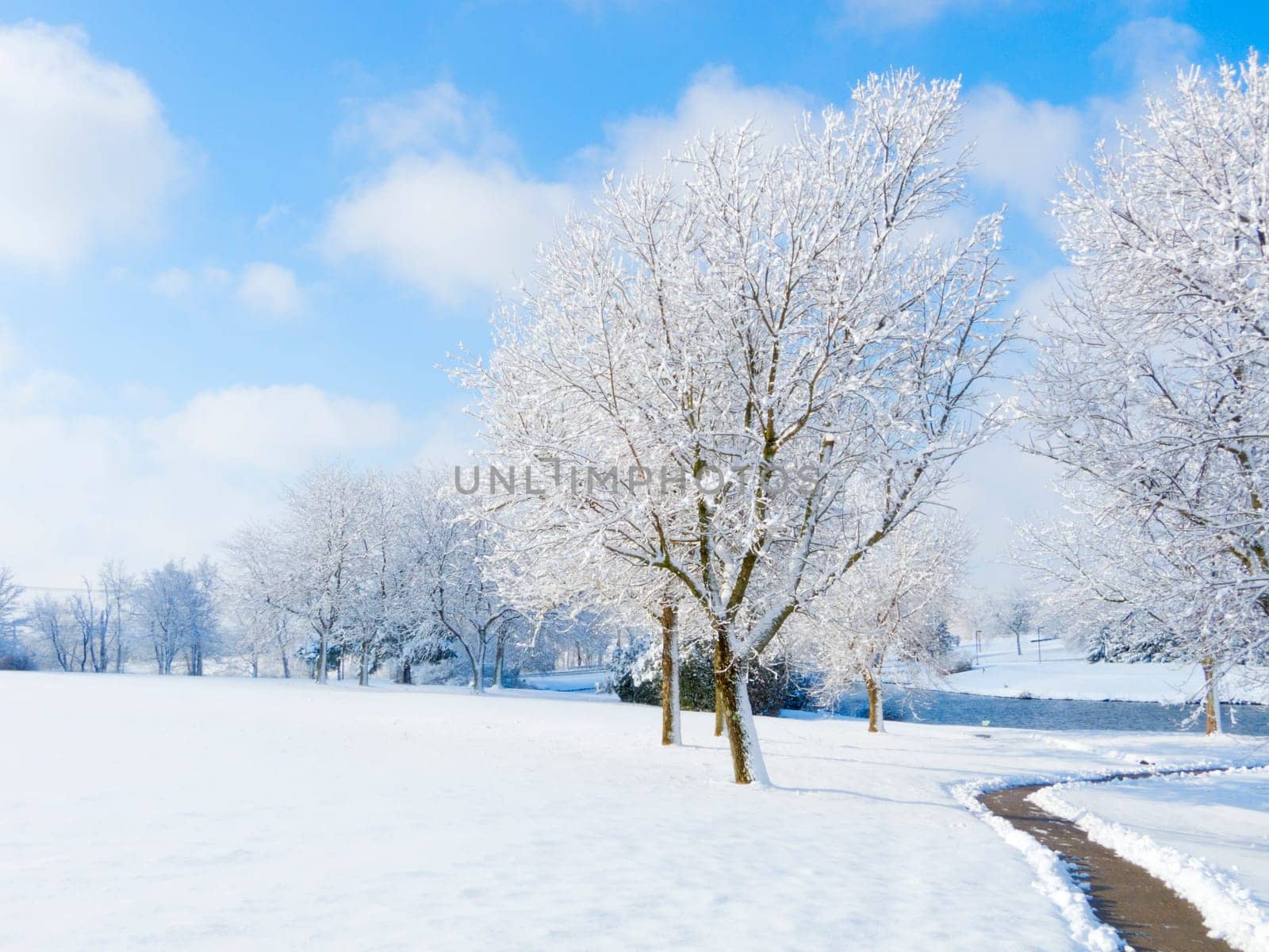 Fresh snow in a park with a cleared walkway and ponds in the background
