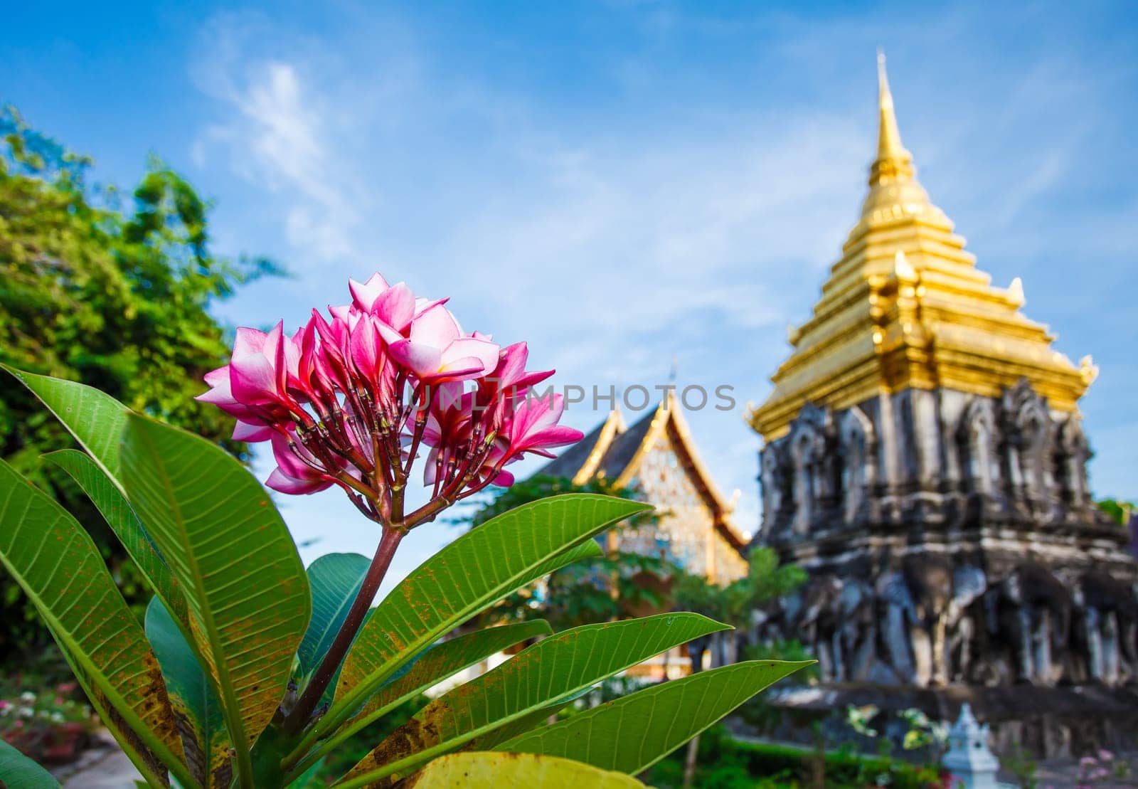 Beautiful temple in Chiang Mai. Thailand.