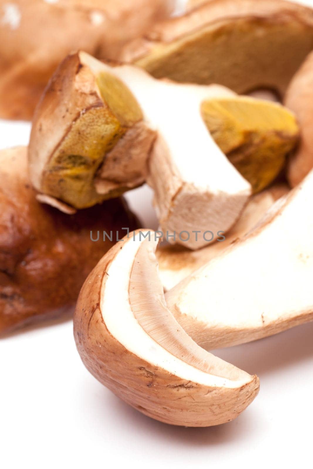 Porcini mushrooms in a pile in portrait format