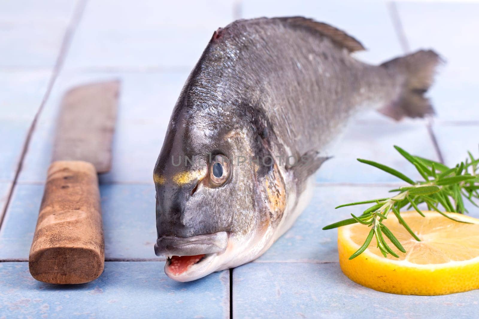 Sea bream royal