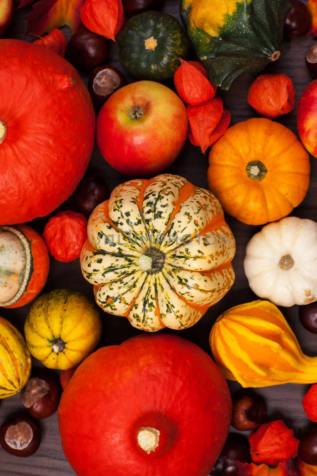 Thanksgiving background - pumpkins and apples for Thanksgiving