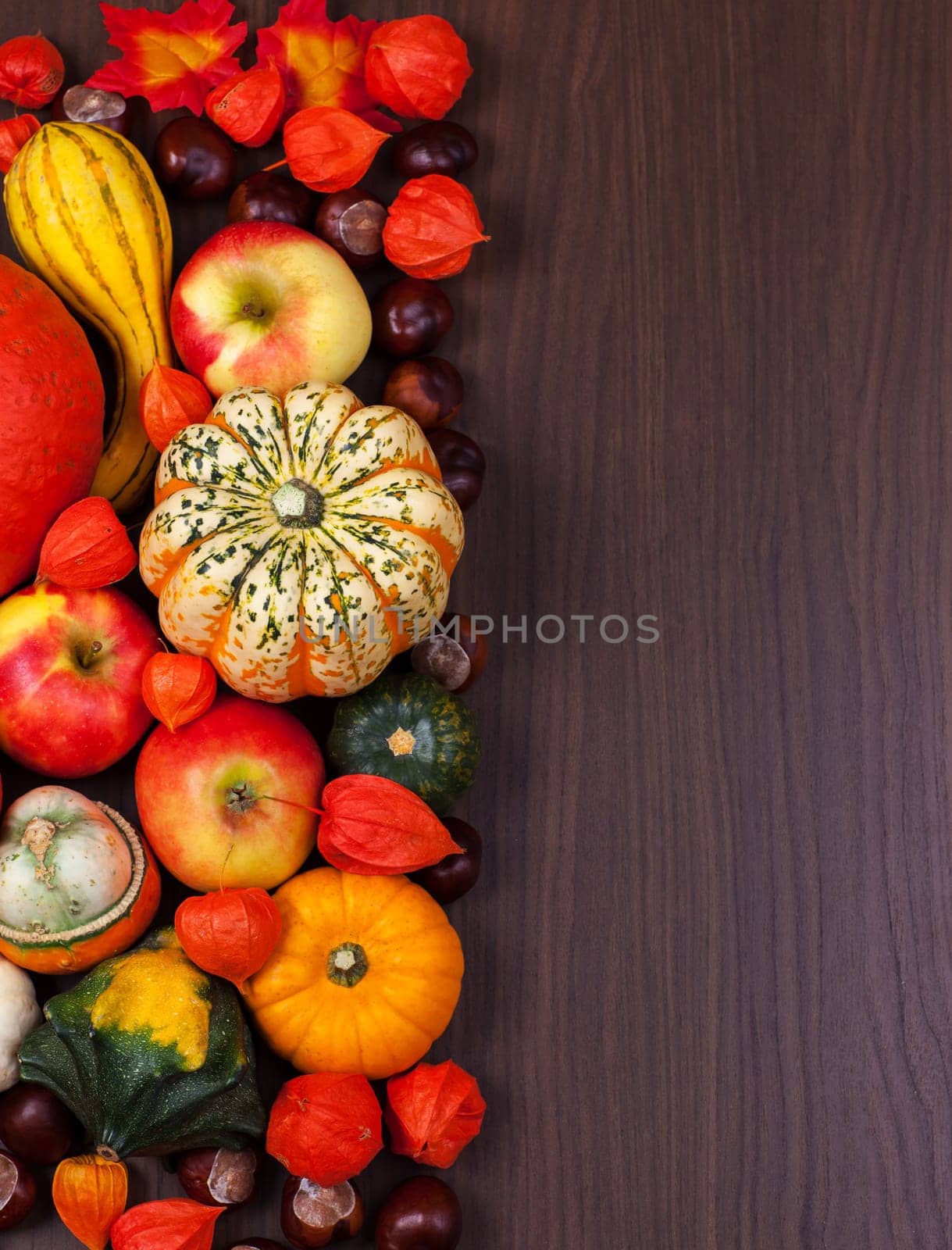 Thanksgiving border with copy space