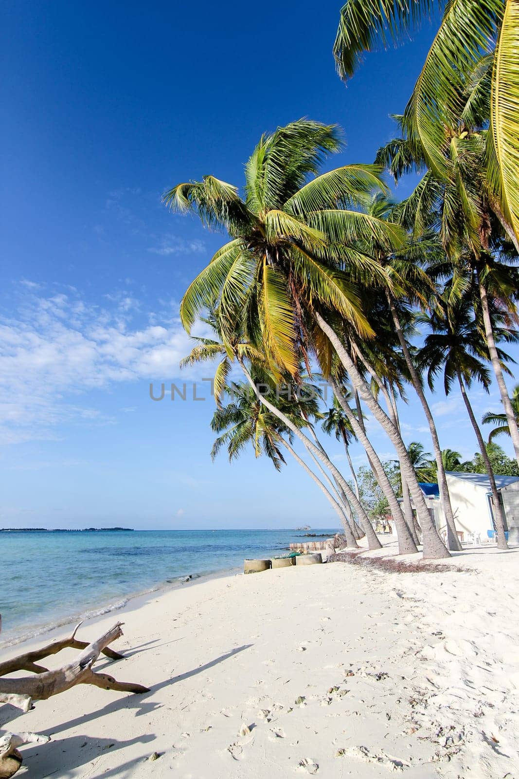 time for holidays at a lonely paradise beach