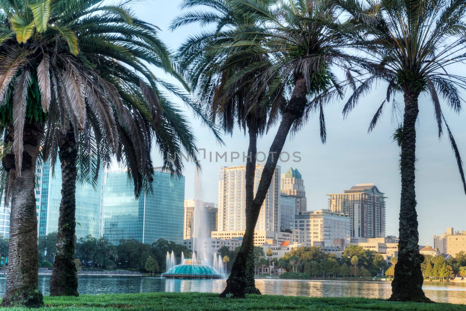 Orlando