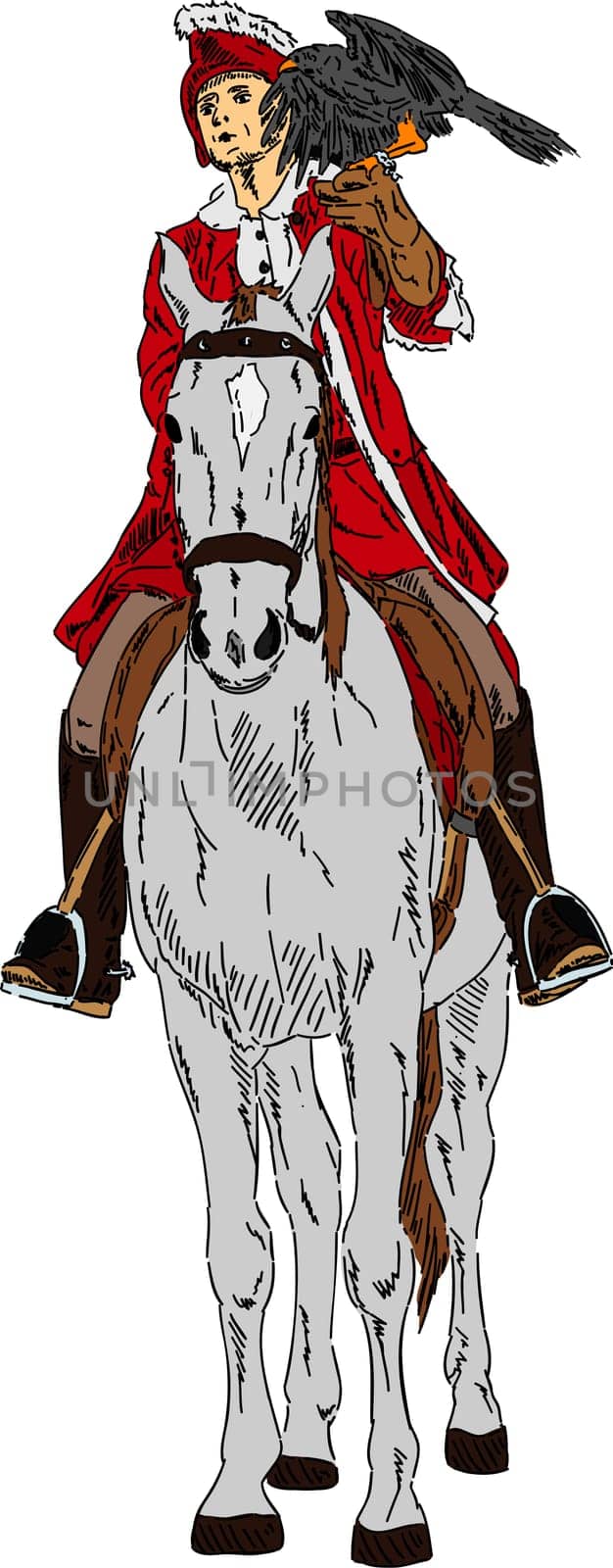 vector - Falconer on horse with her falcon